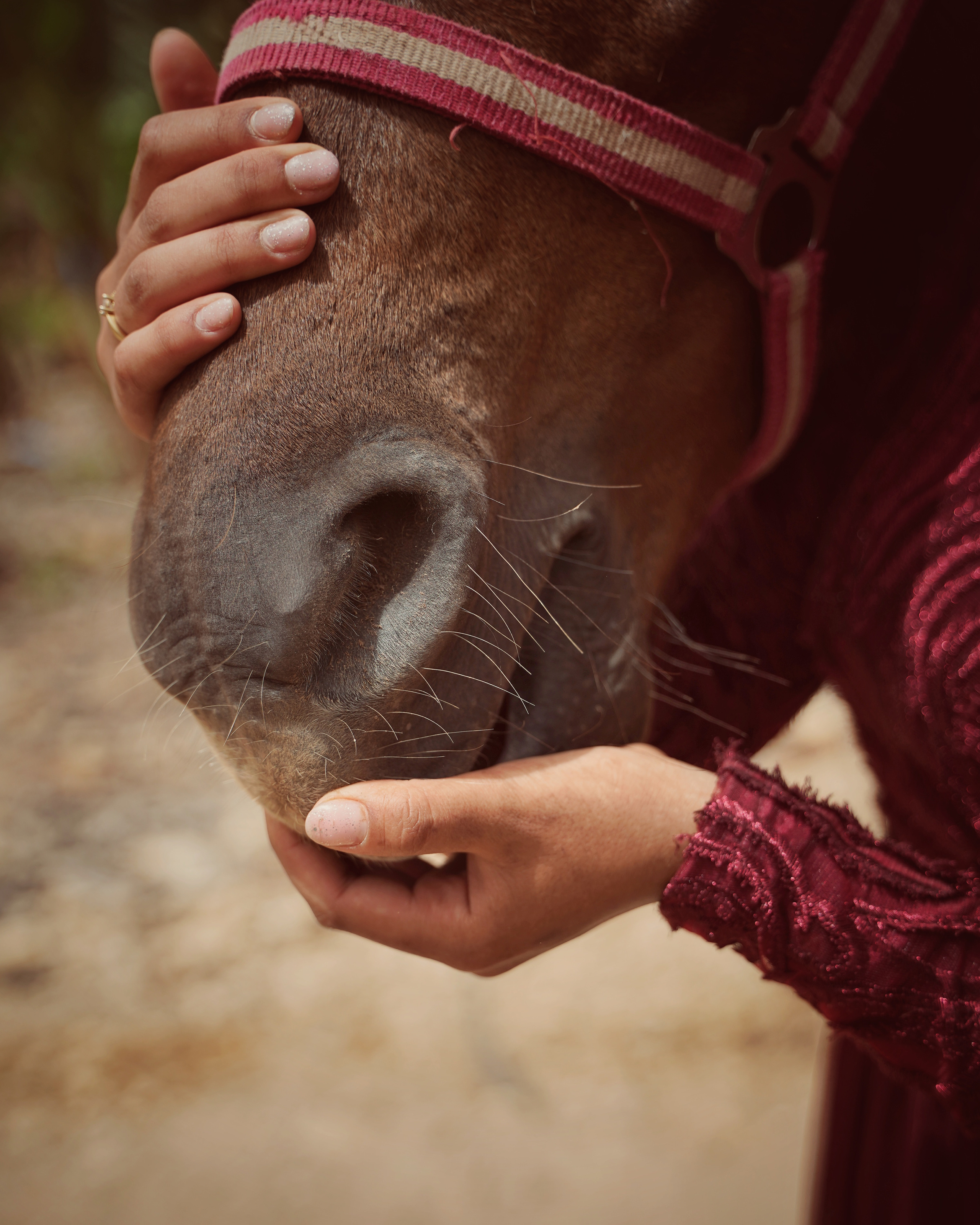 Илана и Гром. Фотограф. Визуал. Хайфа. Талья Цветкова