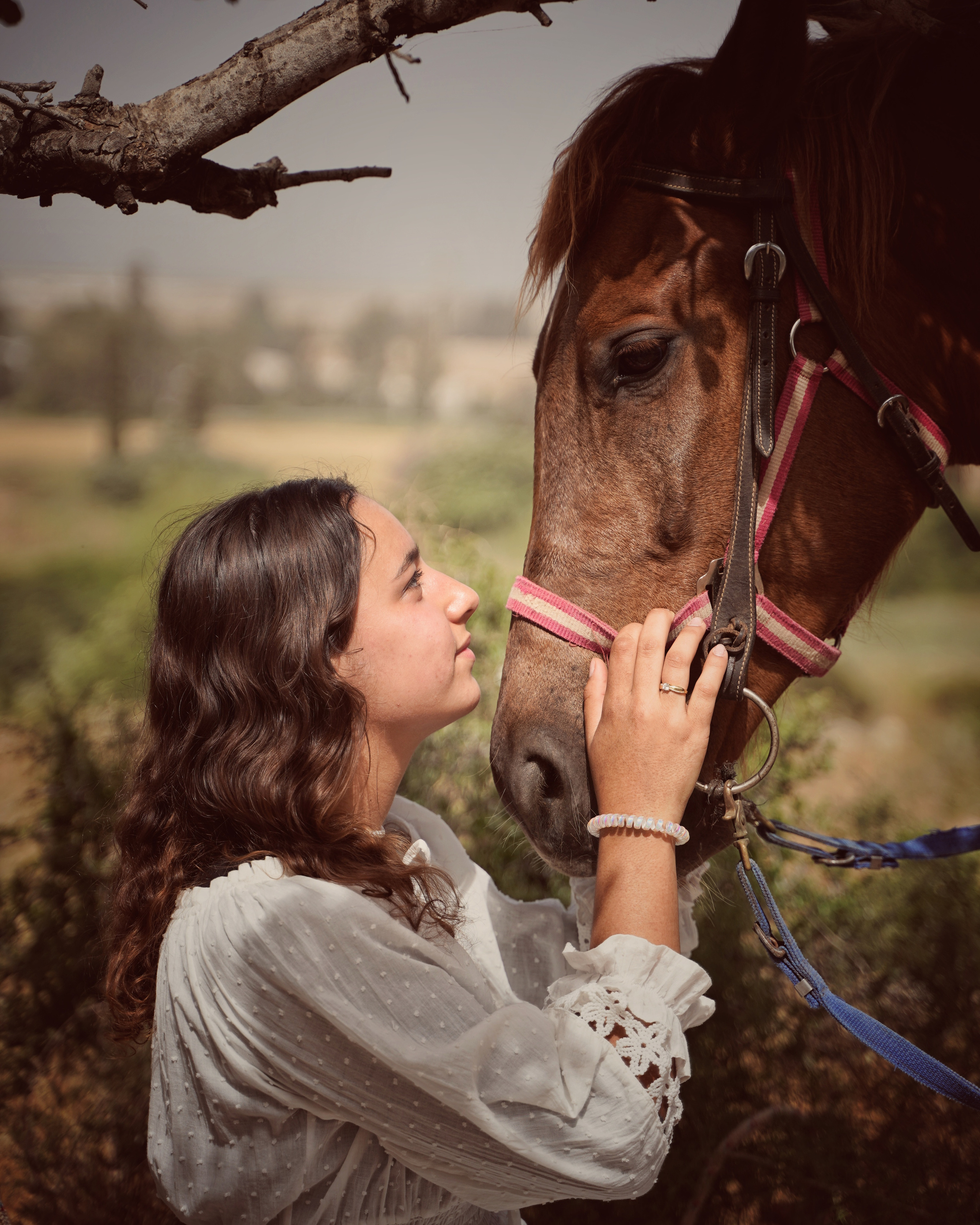 Илана и Гром. Фотограф. Визуал. Хайфа. Талья Цветкова