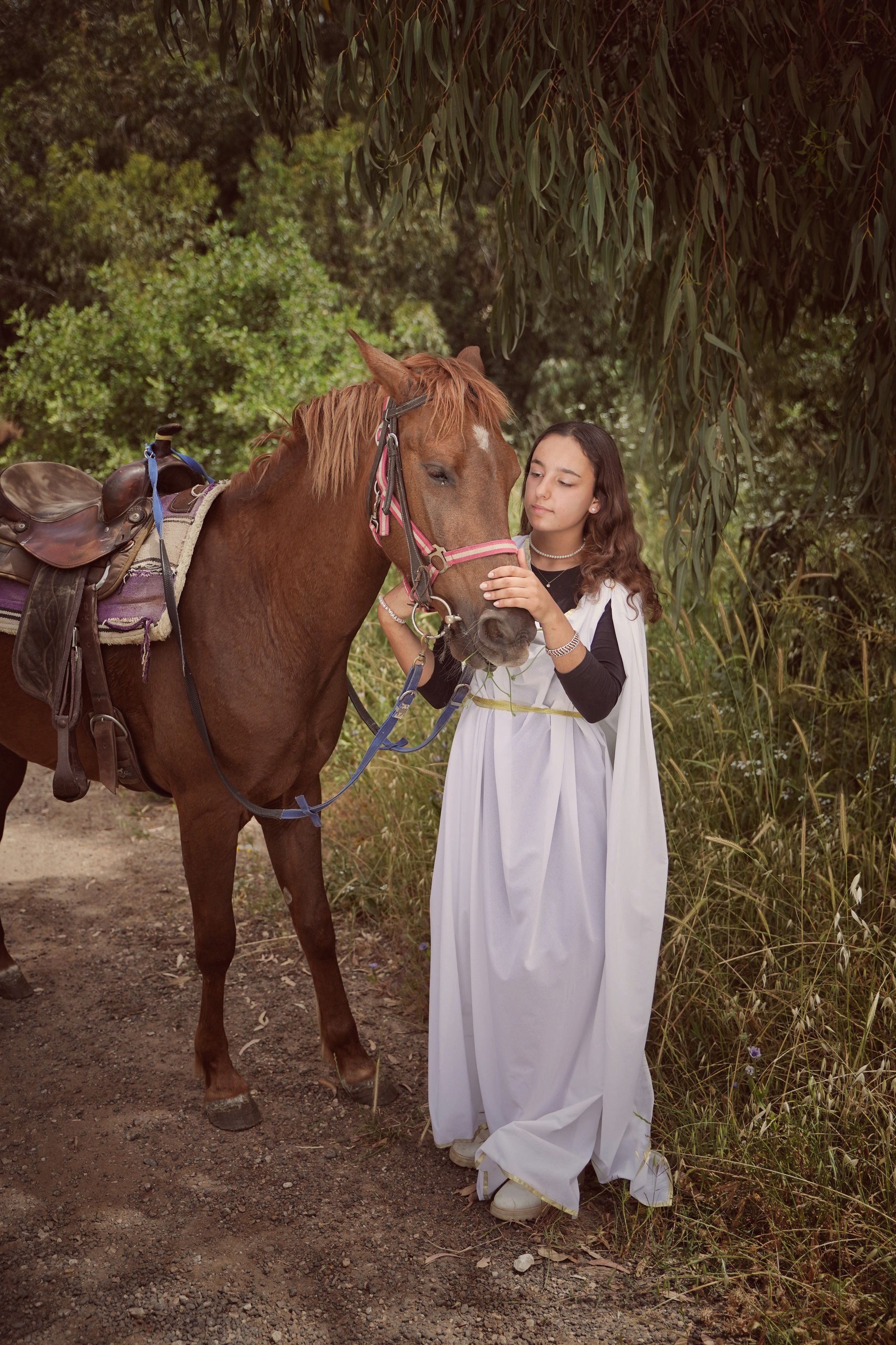 Илана и Гром. Фотограф. Визуал. Хайфа. Талья Цветкова