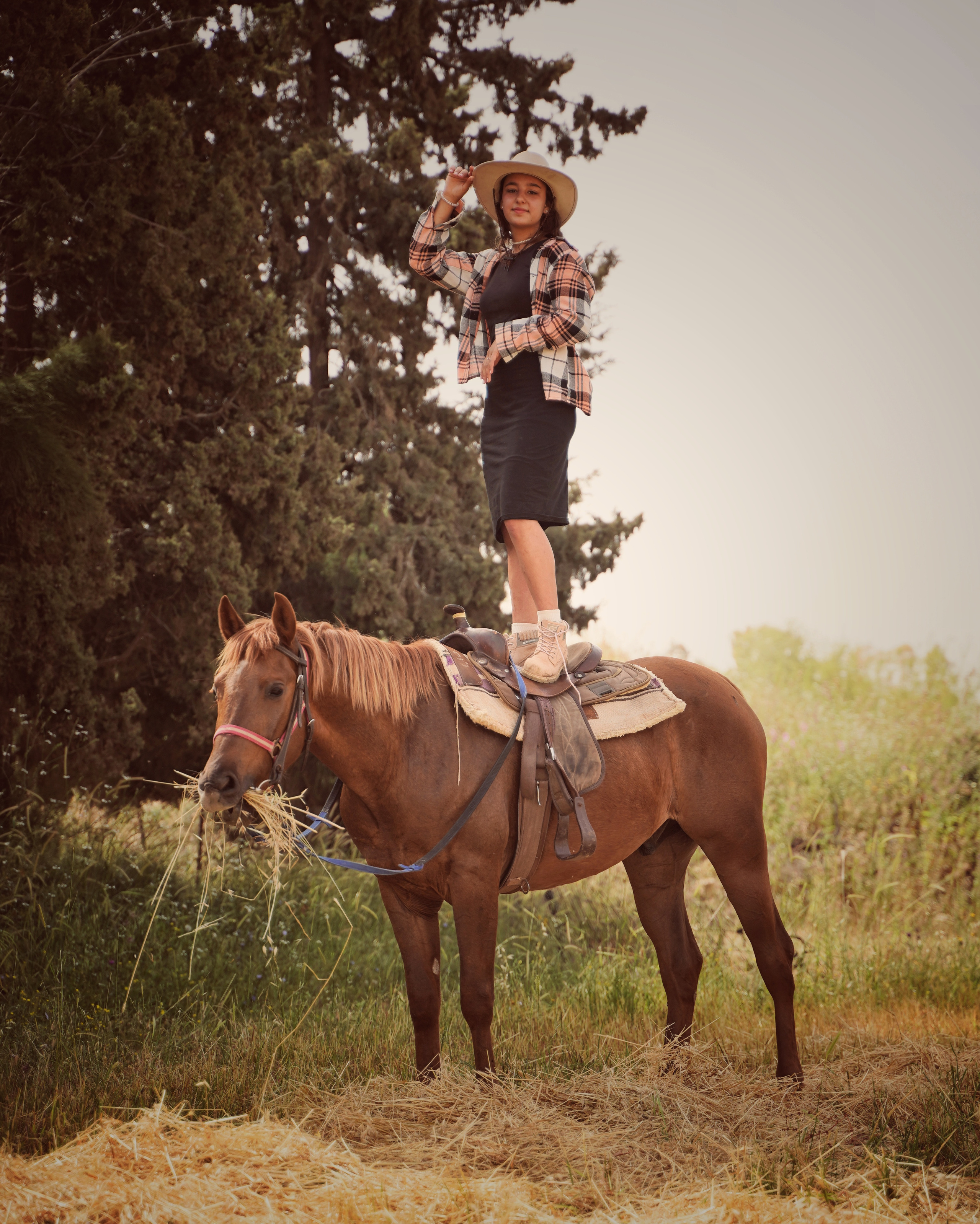 Илана и Гром. Фотограф. Визуал. Хайфа. Талья Цветкова