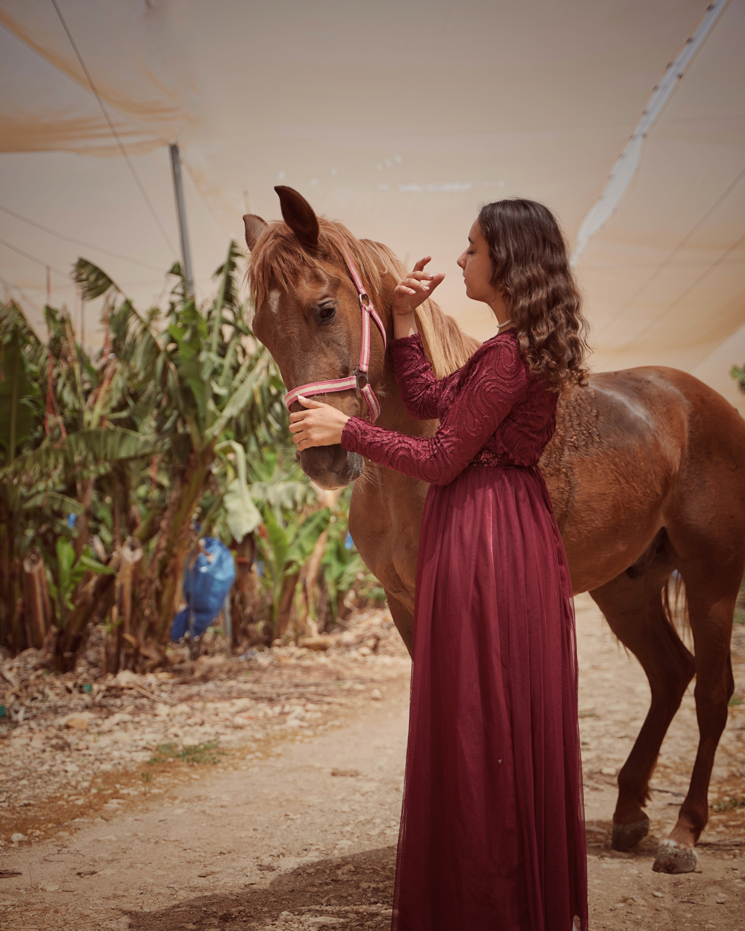 Илана и Гром. Фотограф. Визуал. Хайфа. Талья Цветкова