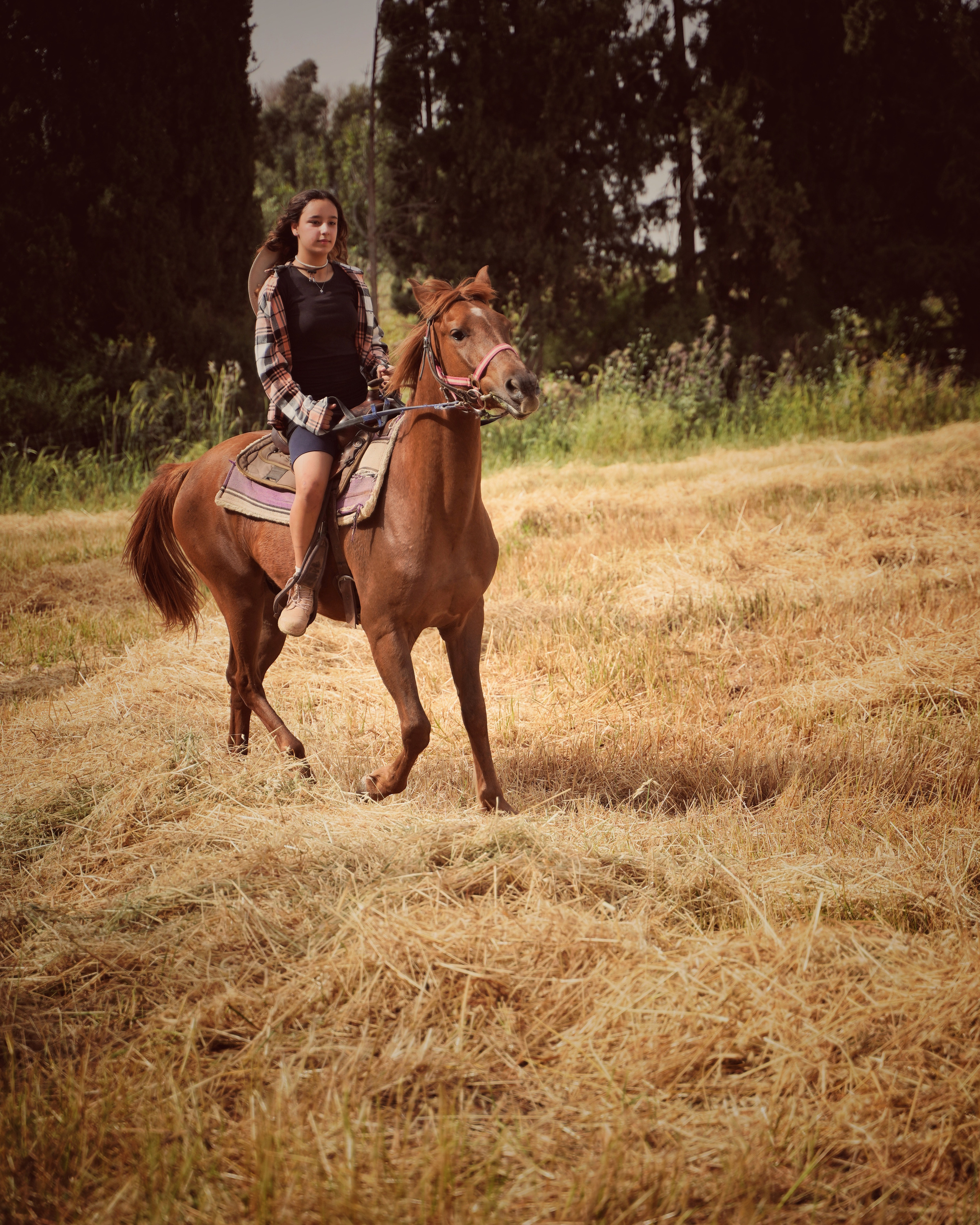 Илана и Гром. Фотограф. Визуал. Хайфа. Талья Цветкова