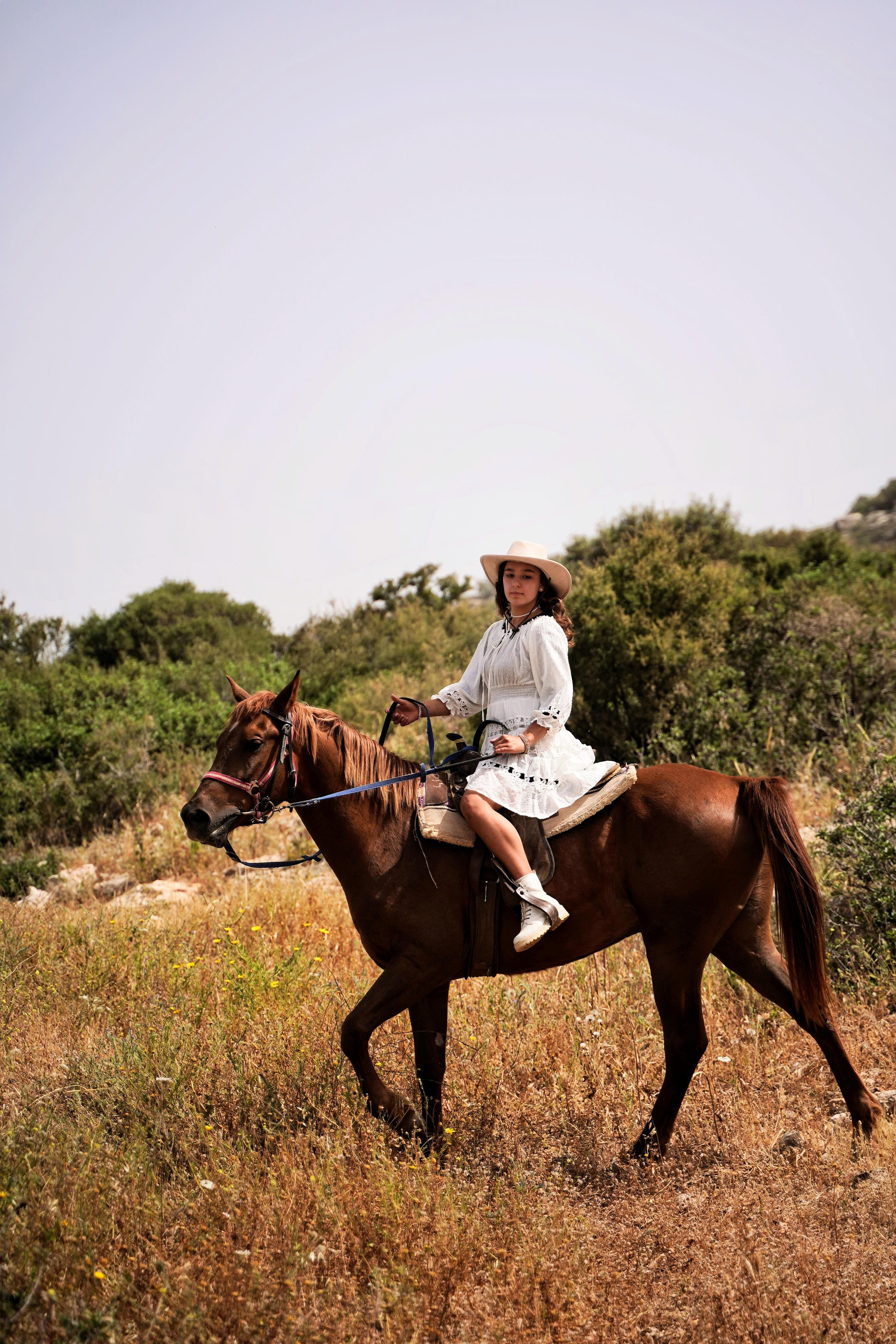Илана и Гром. Фотограф. Визуал. Хайфа. Талья Цветкова
