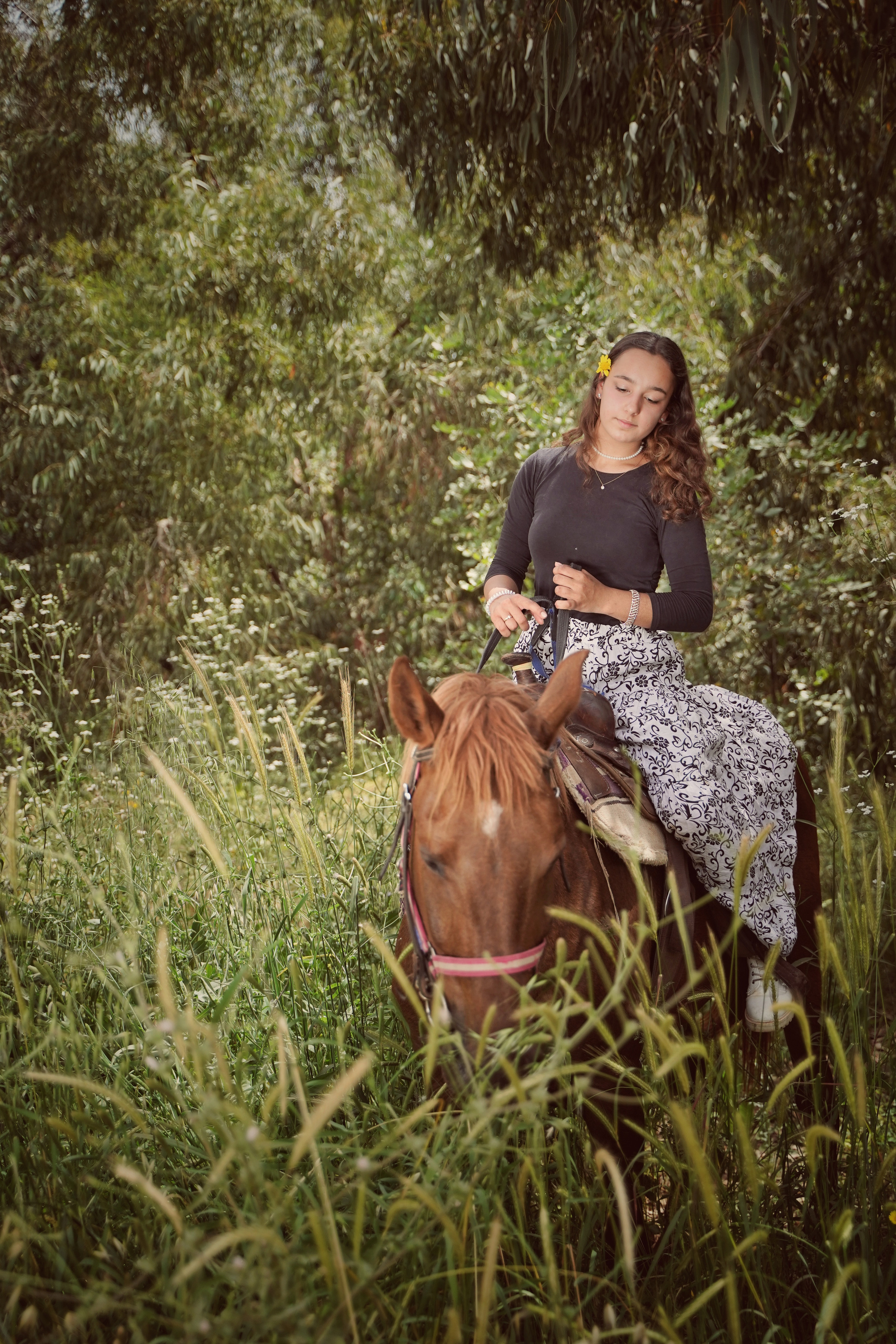 Илана и Гром. Фотограф. Визуал. Хайфа. Талья Цветкова