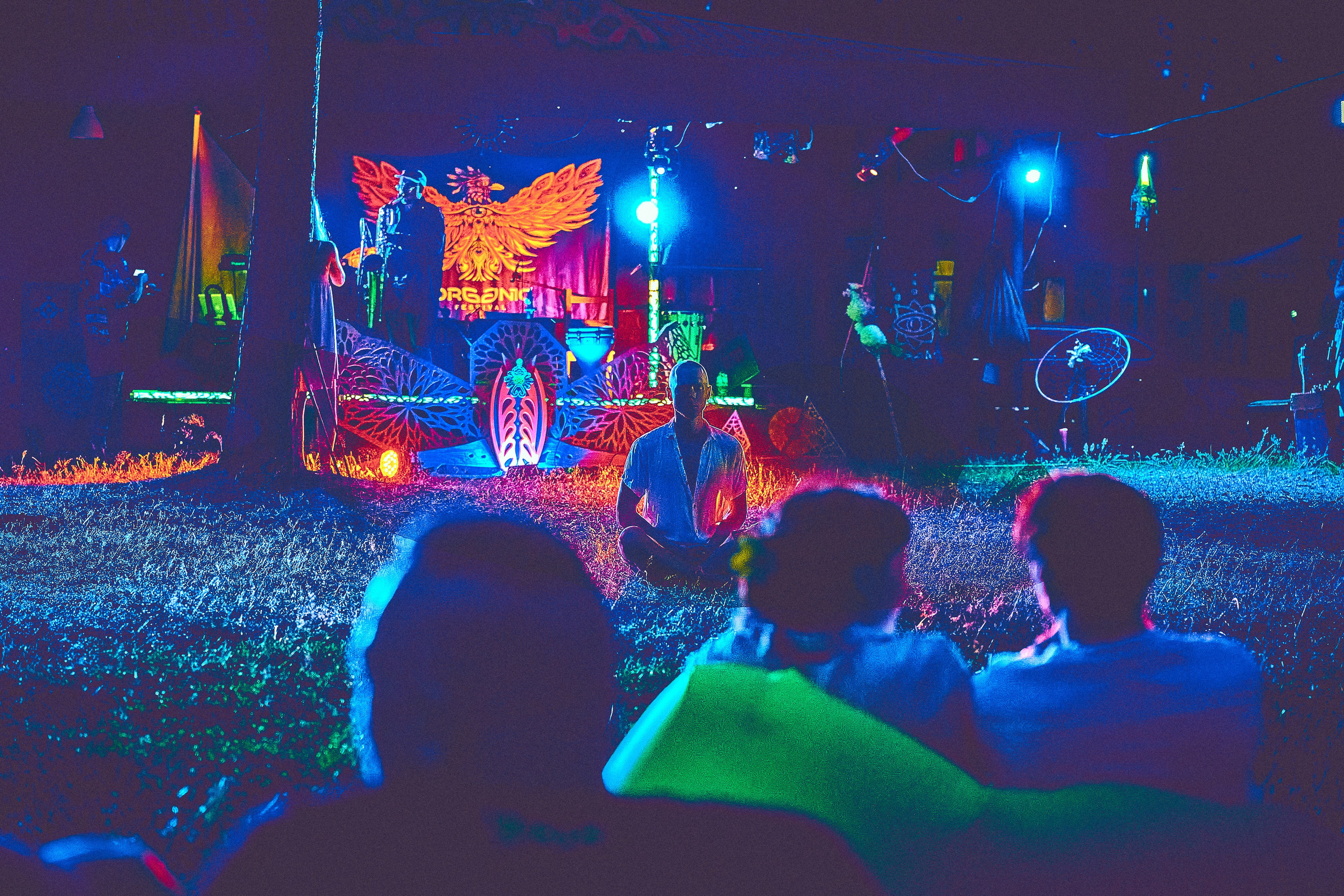 Organic-2025. Andriej Szypilow — Photography & Videography