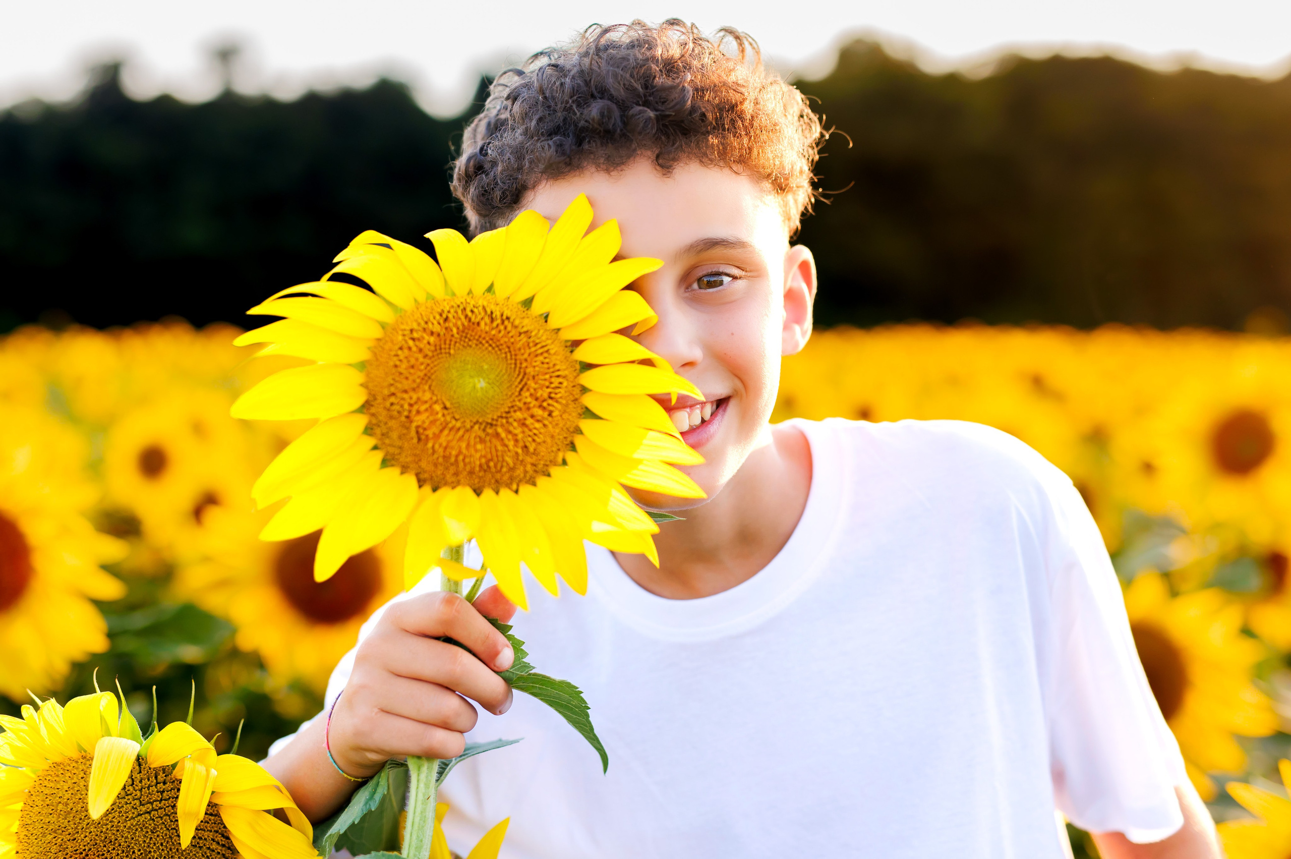 Tramonto tra i girasoli - 2026. Luci e Capricci Photography