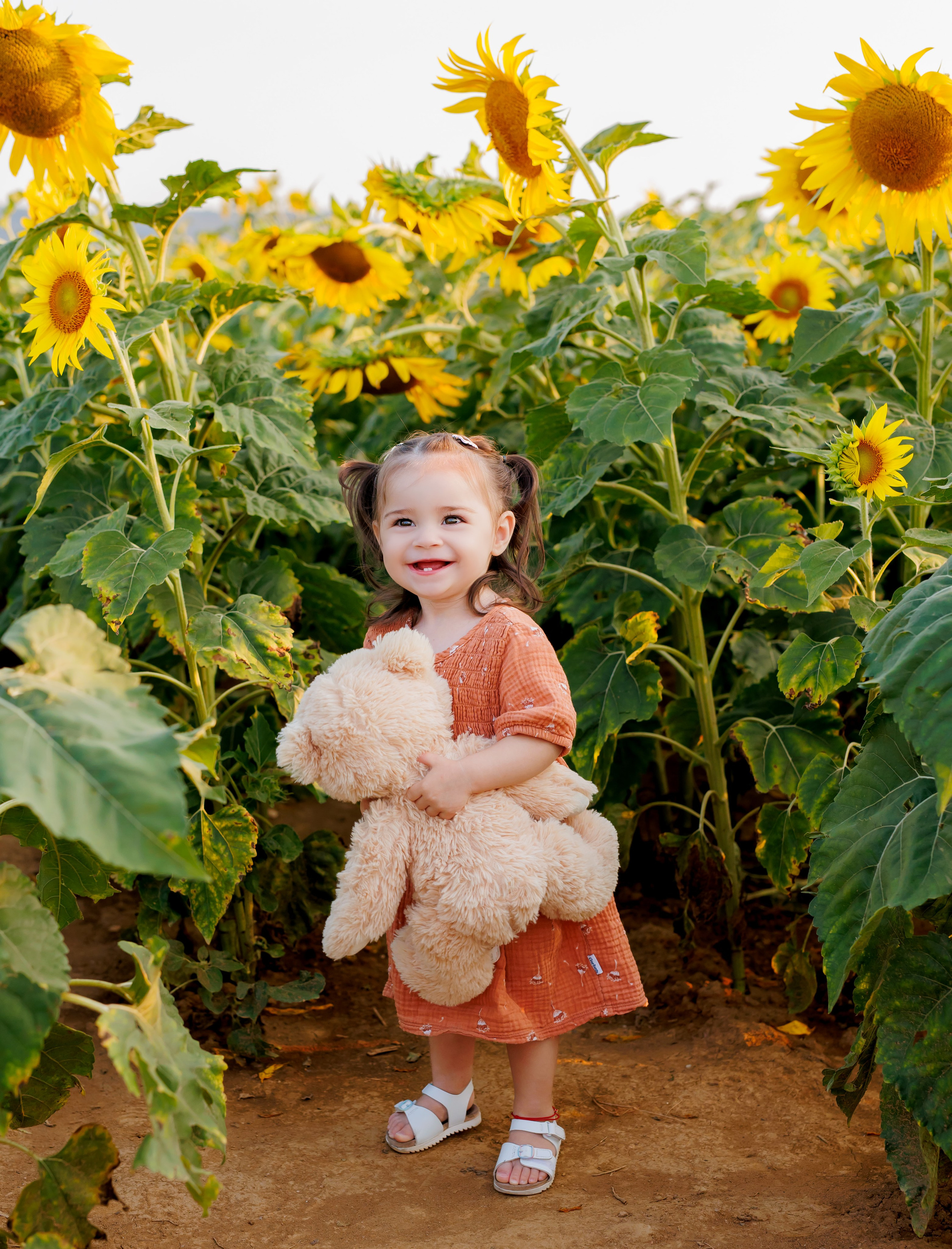 Un’estate tra i 🌻 girasoli- 2026. Luci e Capricci Photography