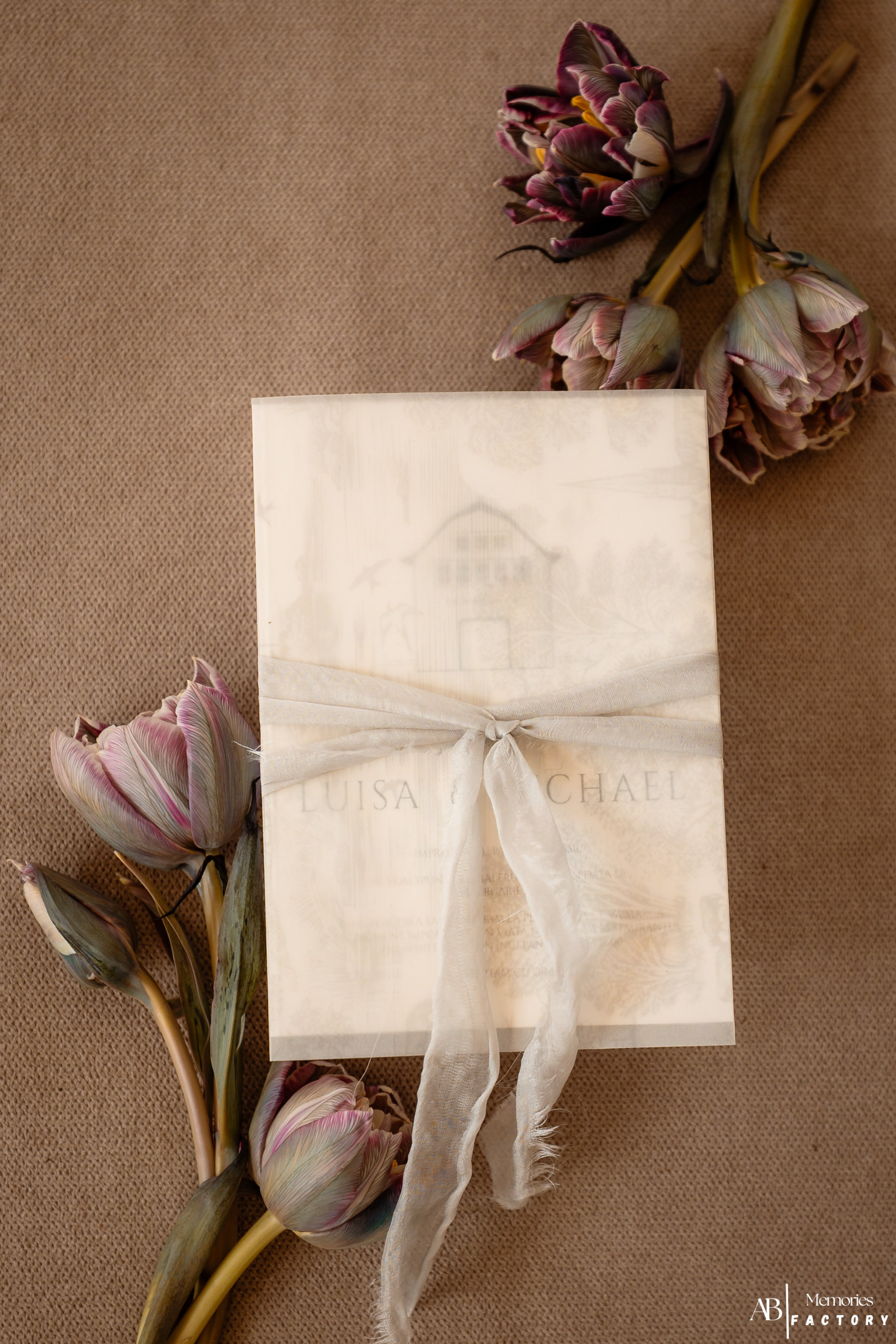 Photoshoot | After Weeding. Bordeiionutfotograf