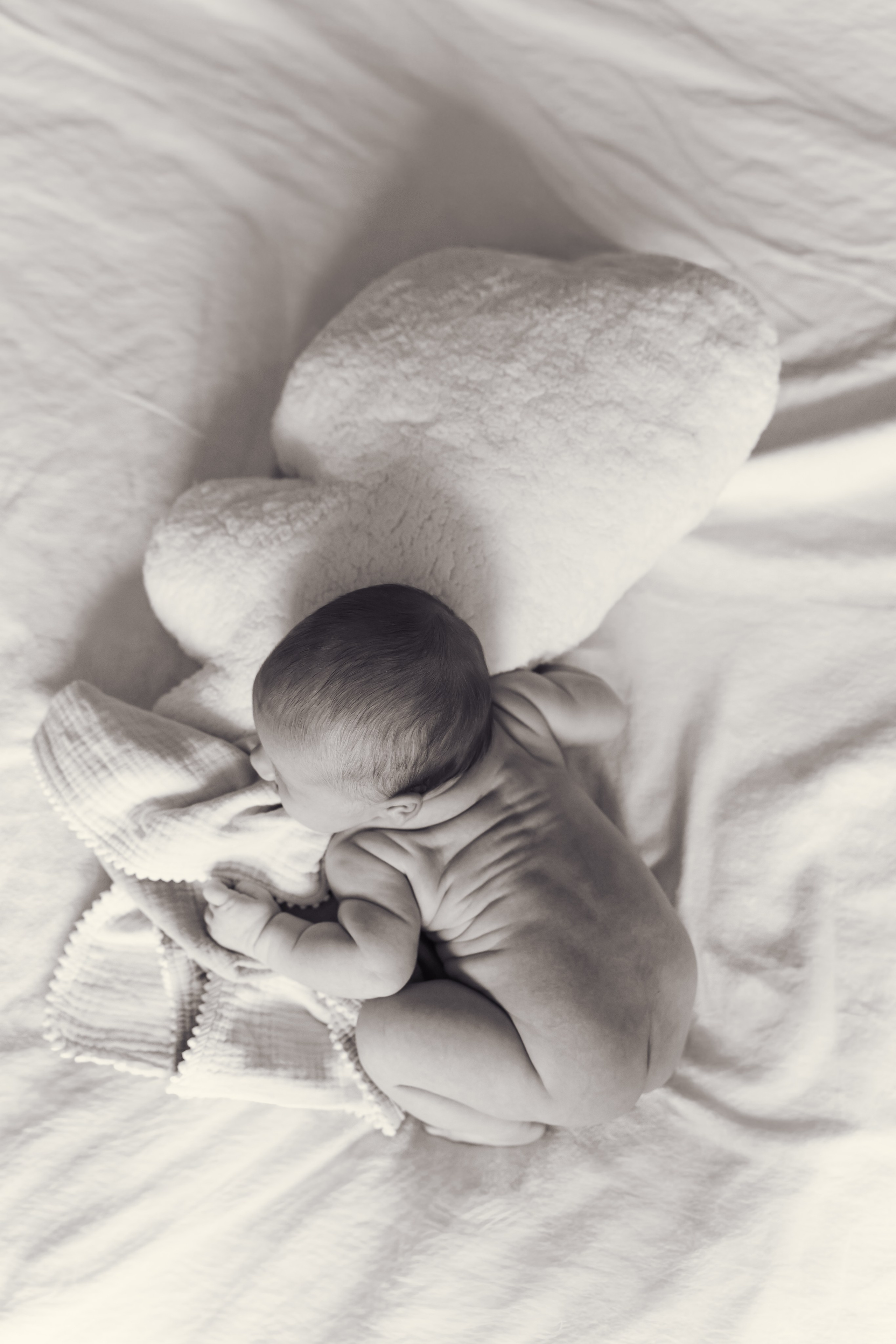 PRICES. Dash_photopic.I’m Daria New York based photographer