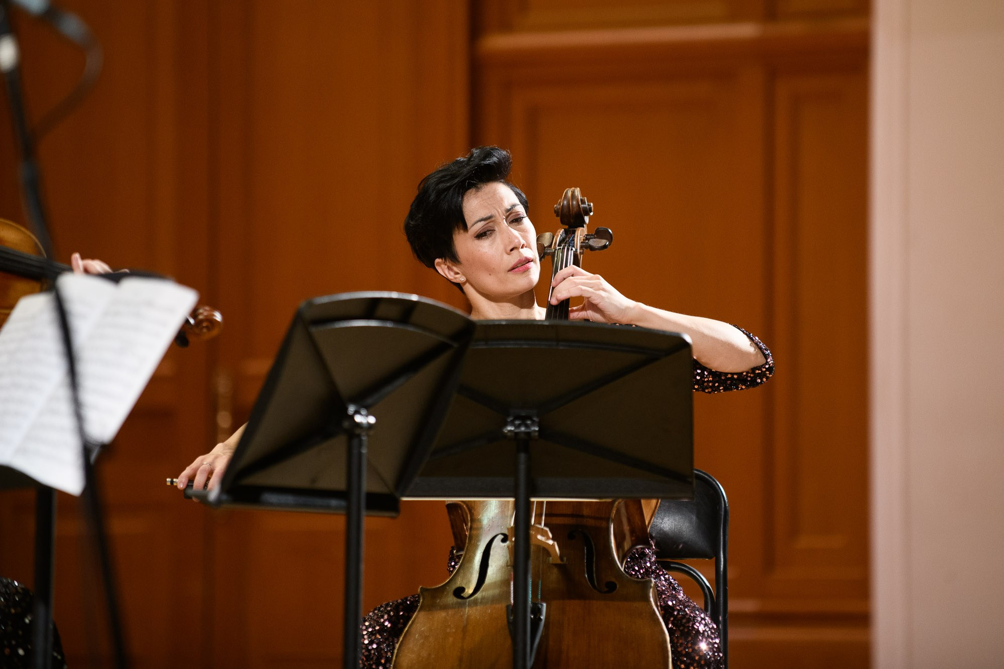 Concerts. Alexander Kabanov Photographer