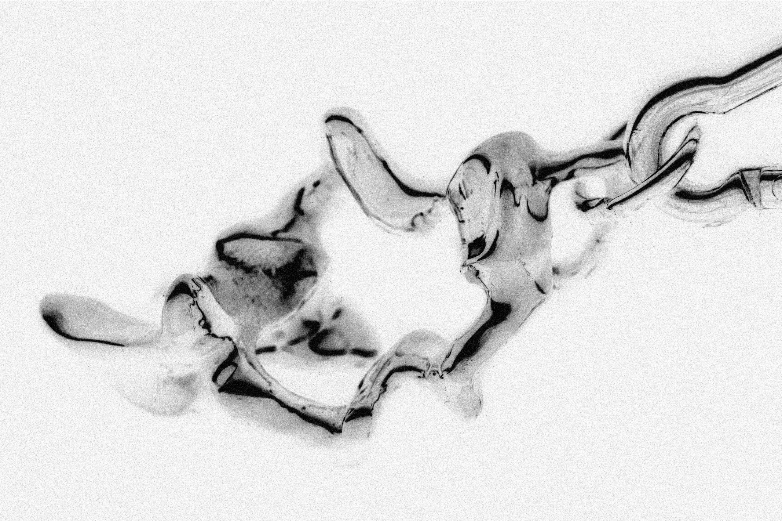 Soma (2021). Daria Sukhikh | Photography