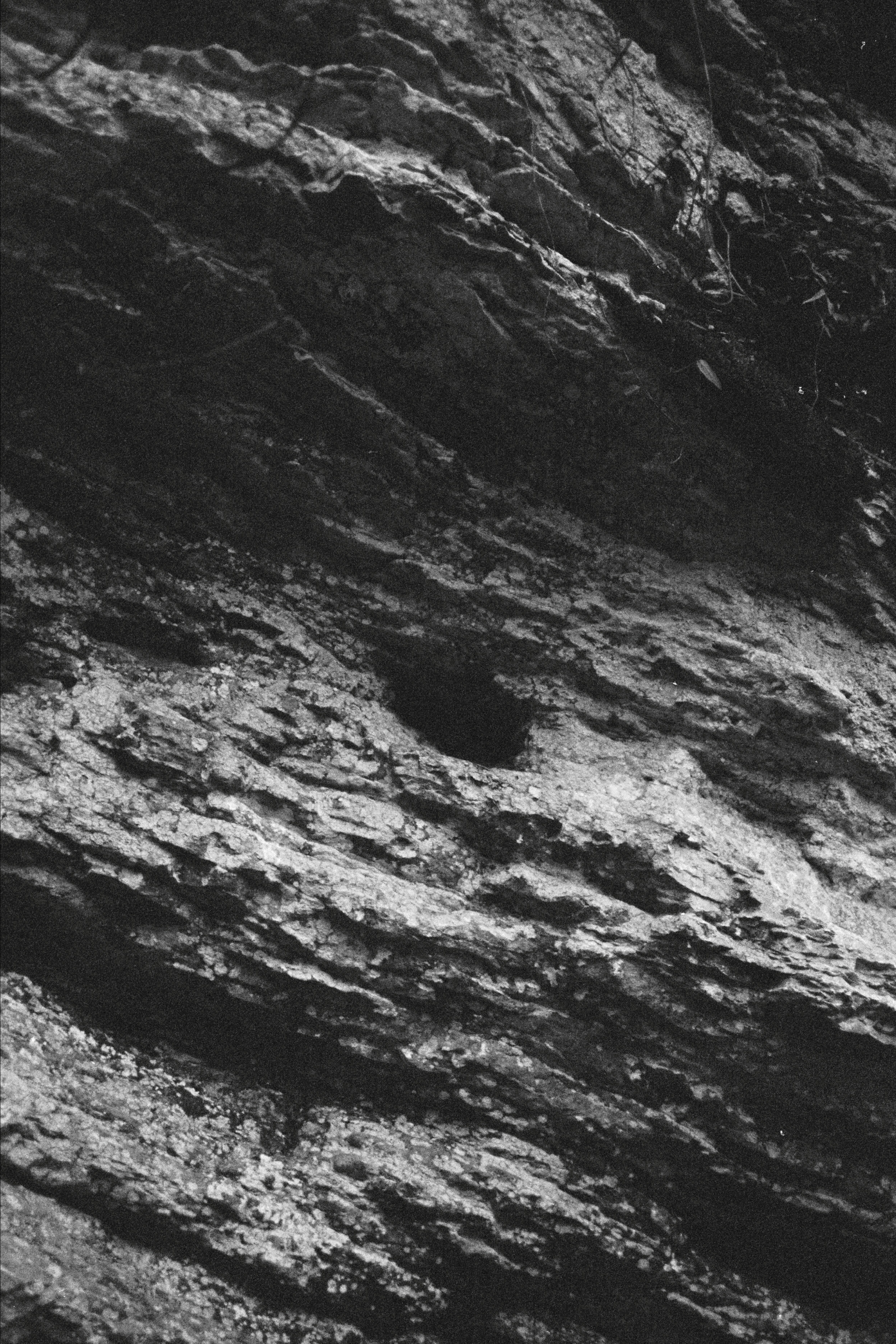 Random shots. Daria Sukhikh | Photography