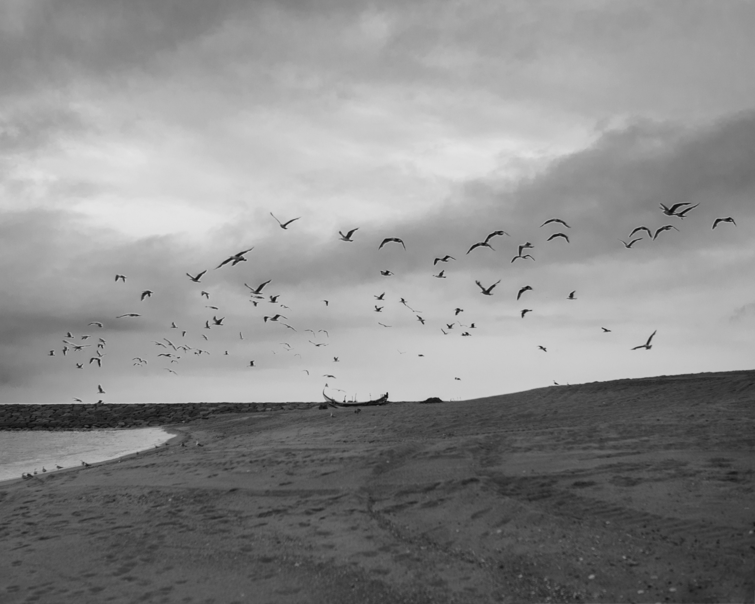 JOANA. Anastasiia Antoniuk portrait, family and couple photographer, Portugal