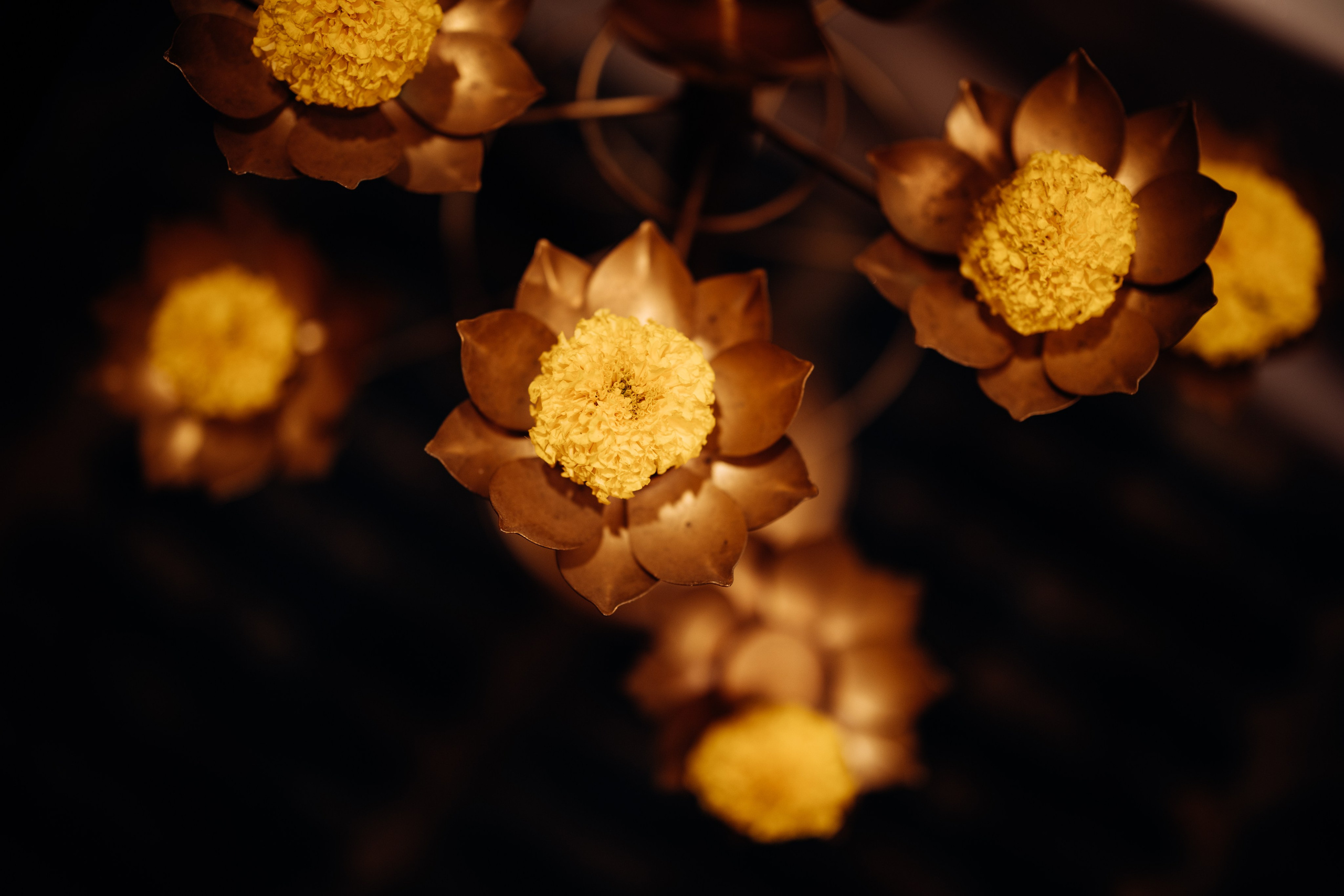 Tanvi & Neil | Engagement