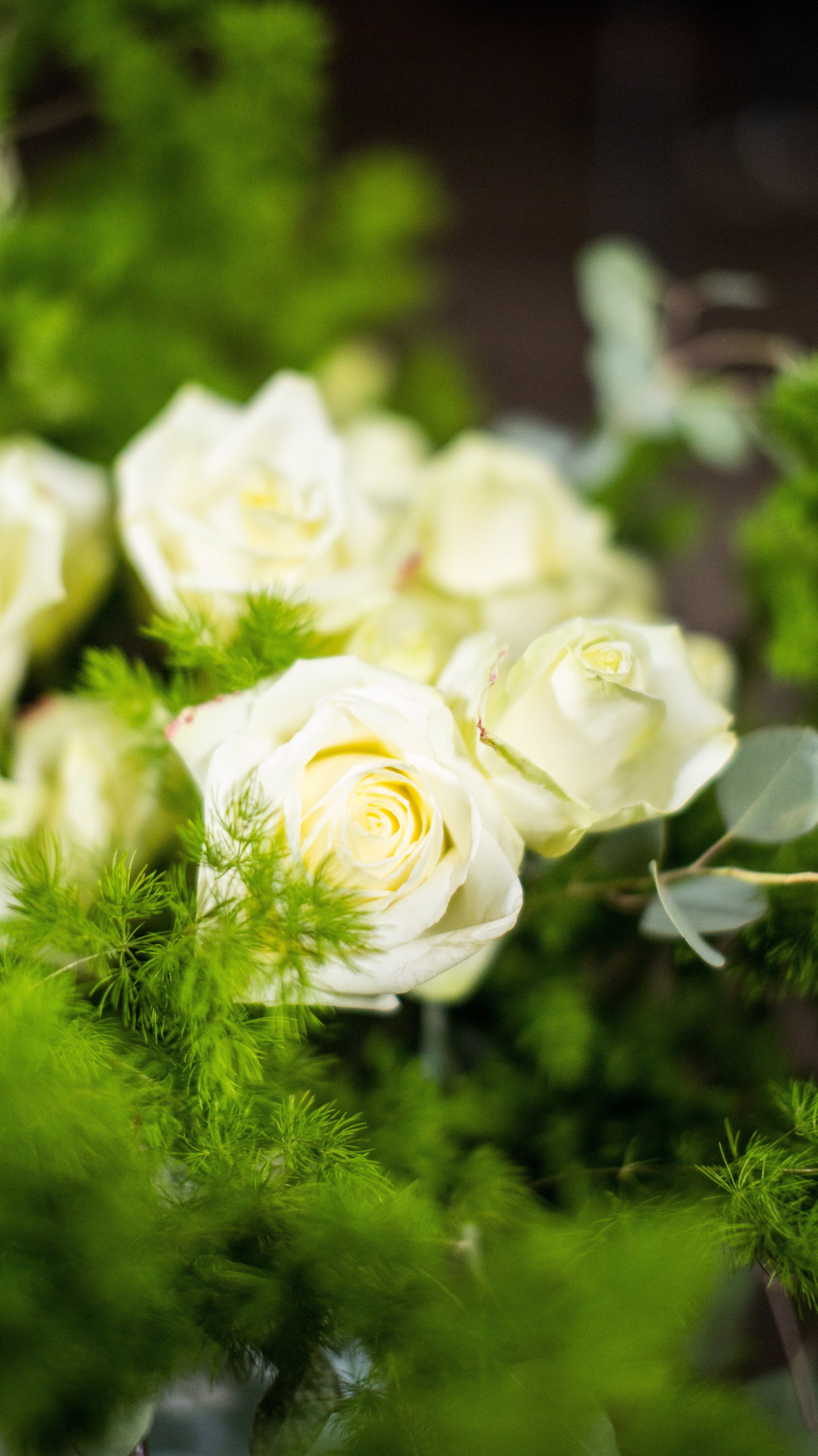 Flowers decor. Сімейний, дитячий та репортажний фотограф з Києва