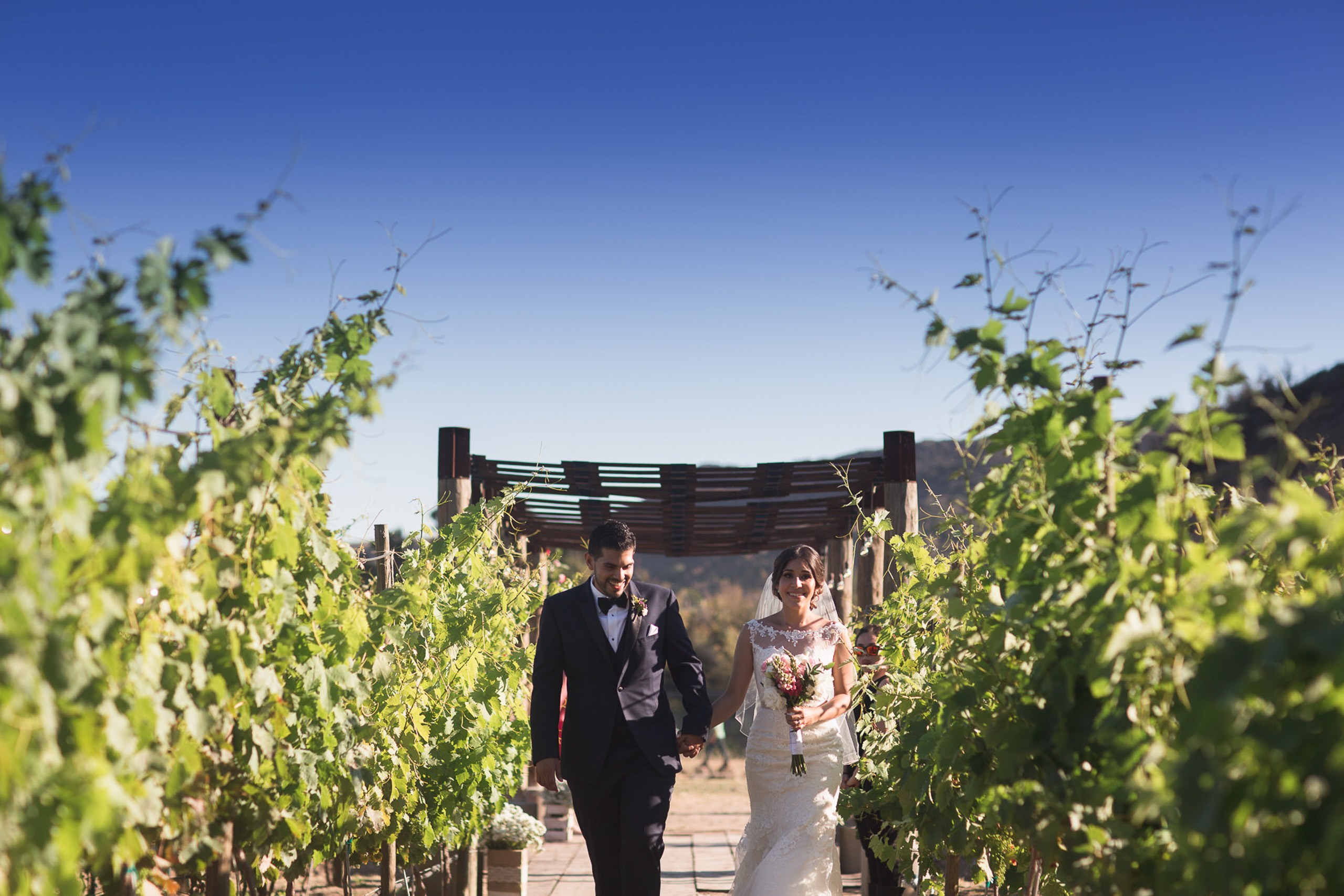 Valle de Guadalupe Boda Ilieana y Antonio. Estudio de fotografia en Tijuana