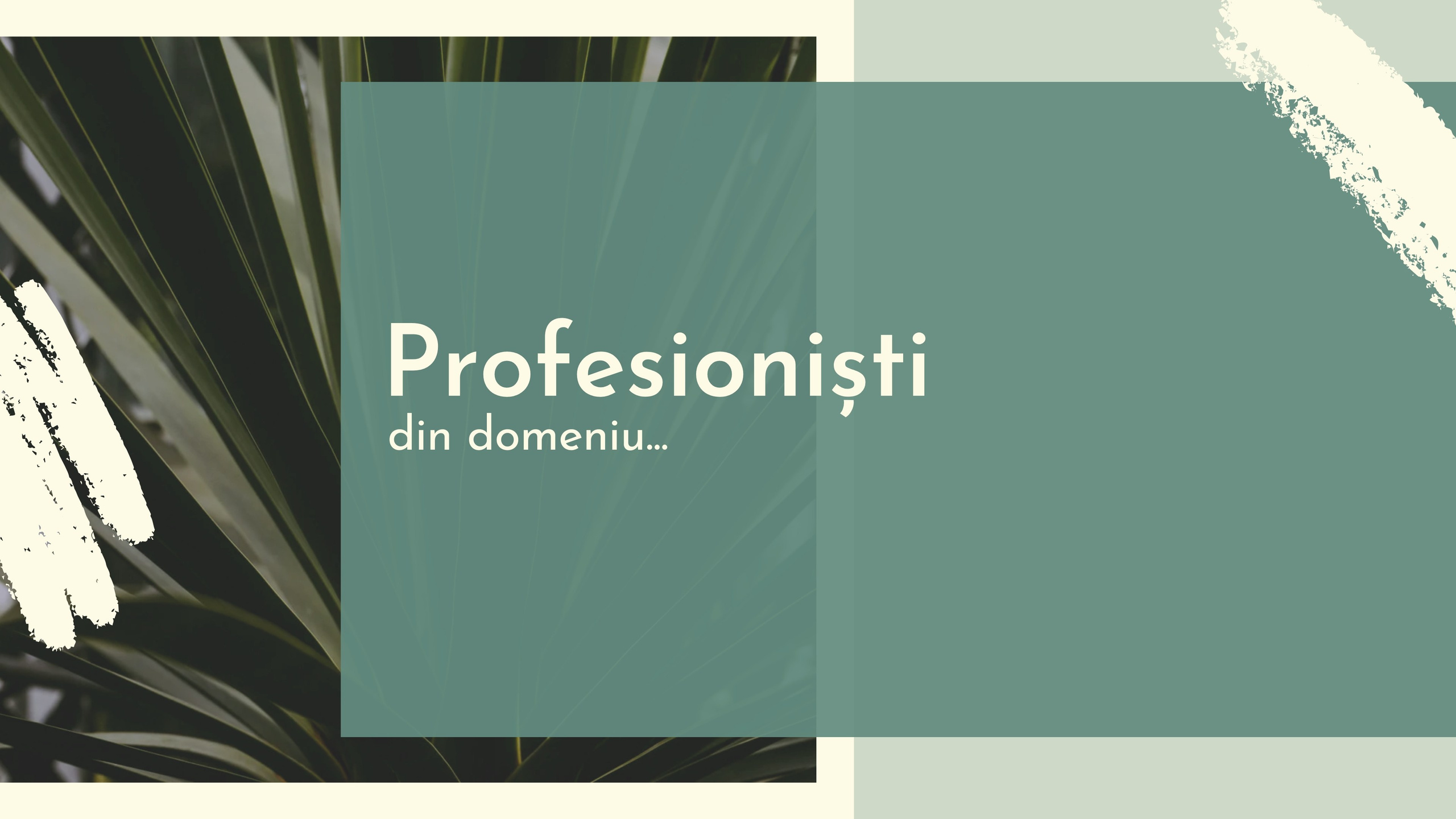 COLABORATORI. Bogdan Vancea | Fotograf Nunta Ploiești