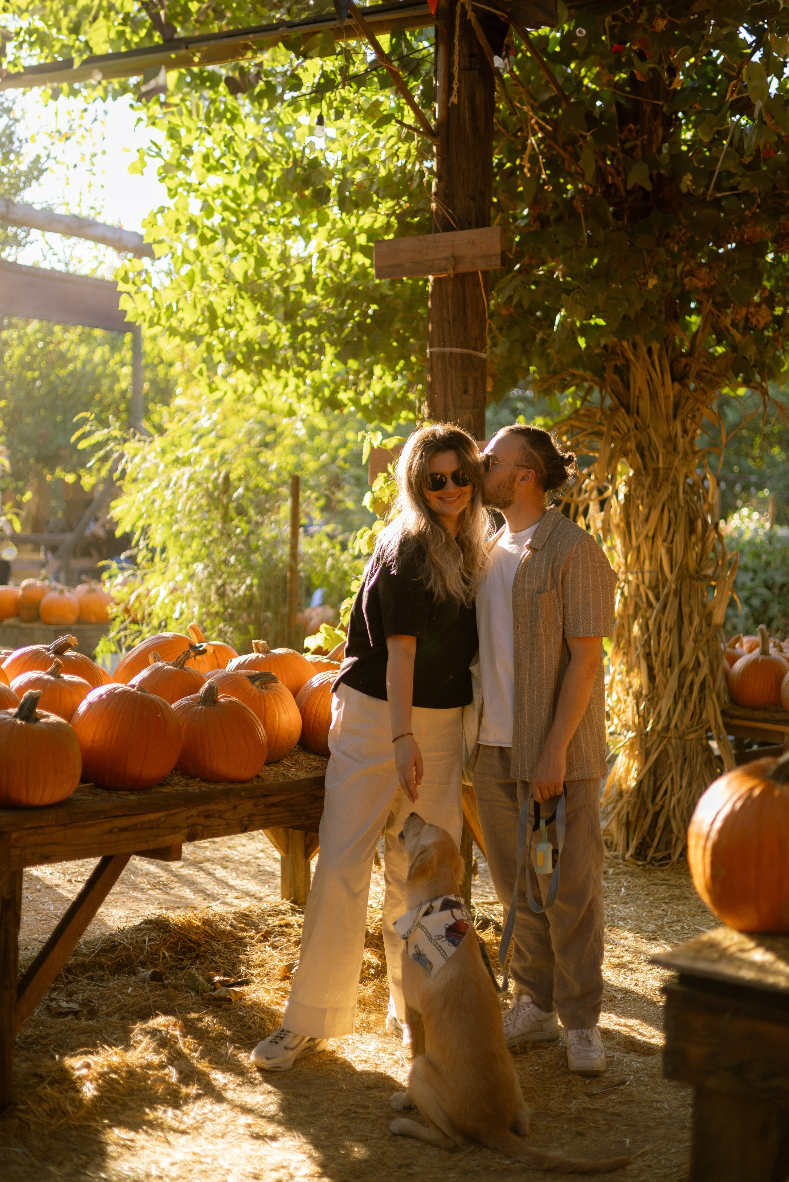 Julia, Sergey & Tessa at the Pumpkin Patch. Photographer in Los Angeles. Julia Ishmuratova