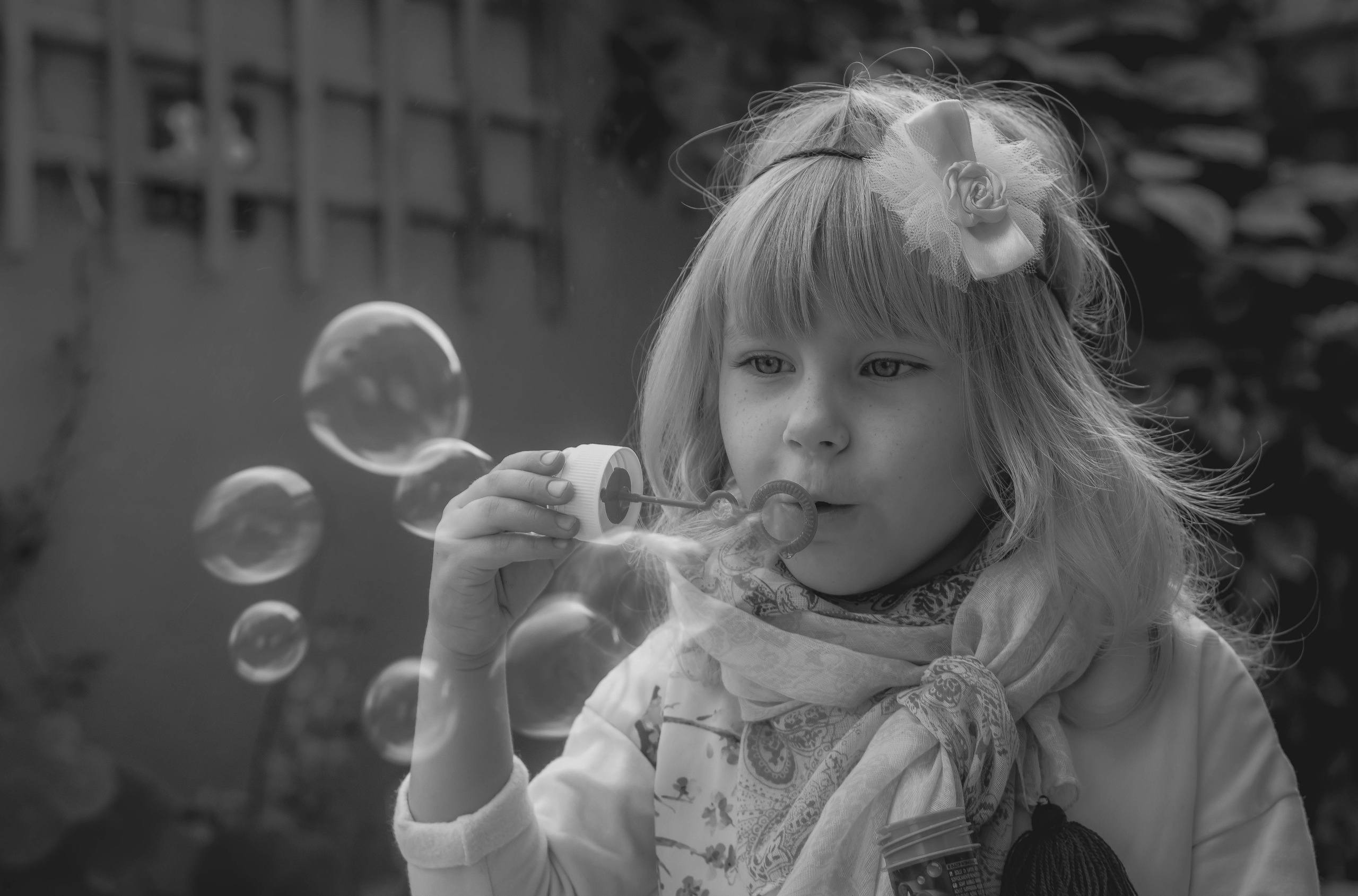 Magic moments. Alba del Norte Studio