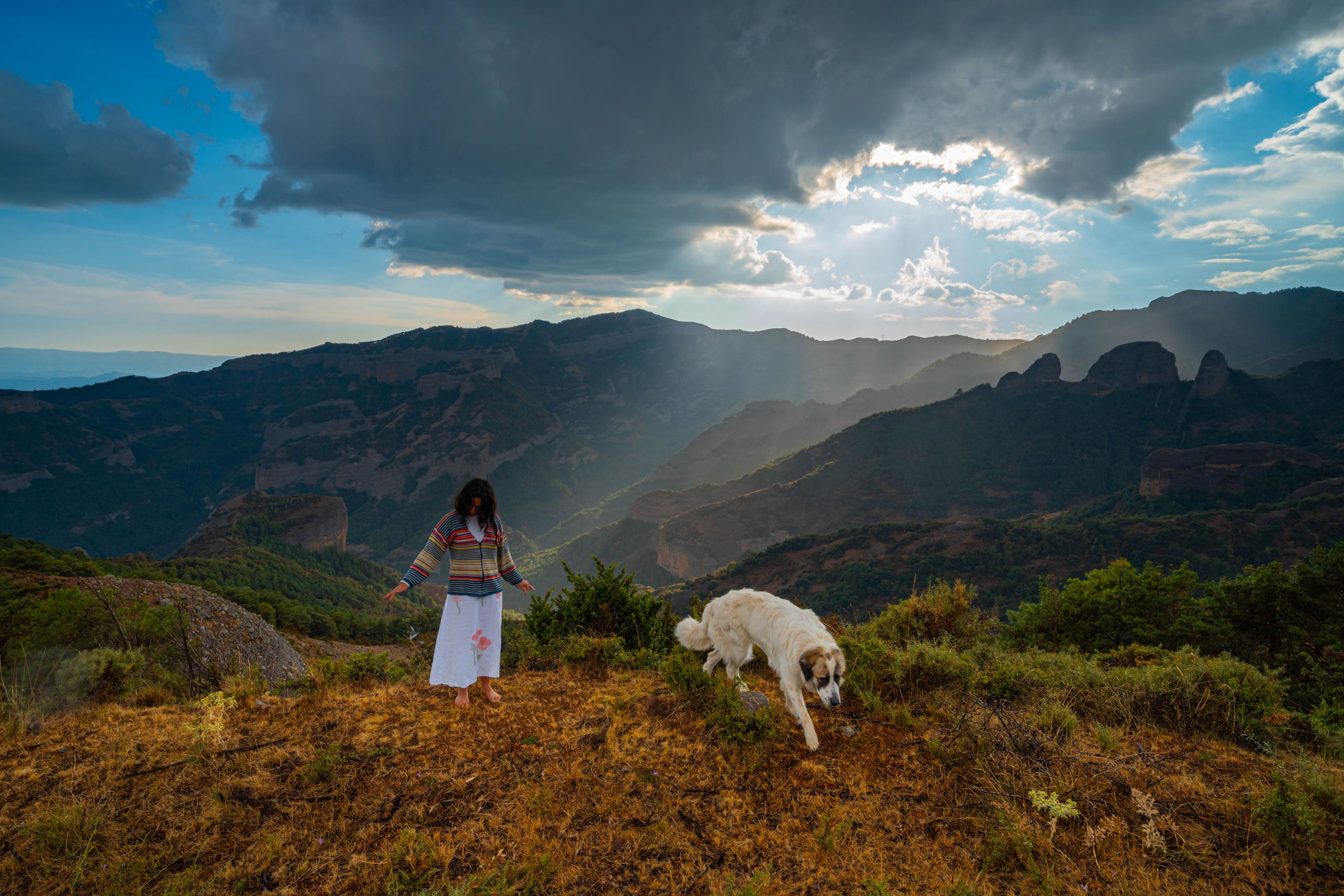 Lila. Alba del Norte Studio