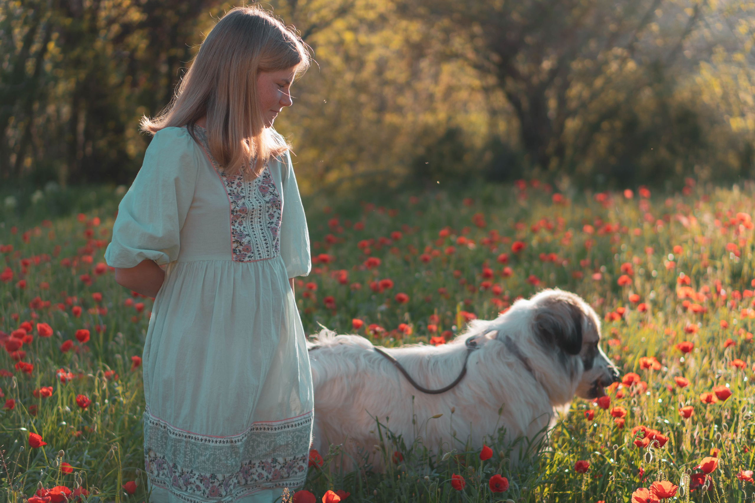 Agnia & Amapolas. Alba del Norte Studio