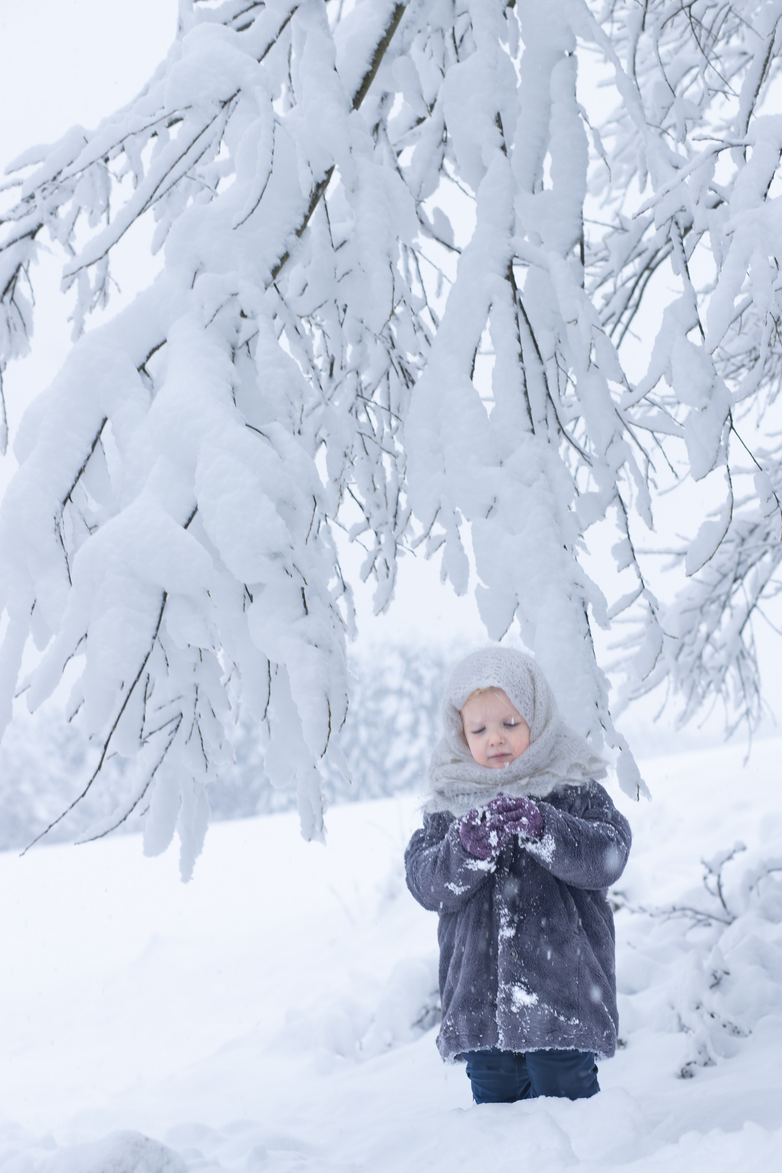Ein Weihnachtsmärchen. Olena Fritz Fotografie