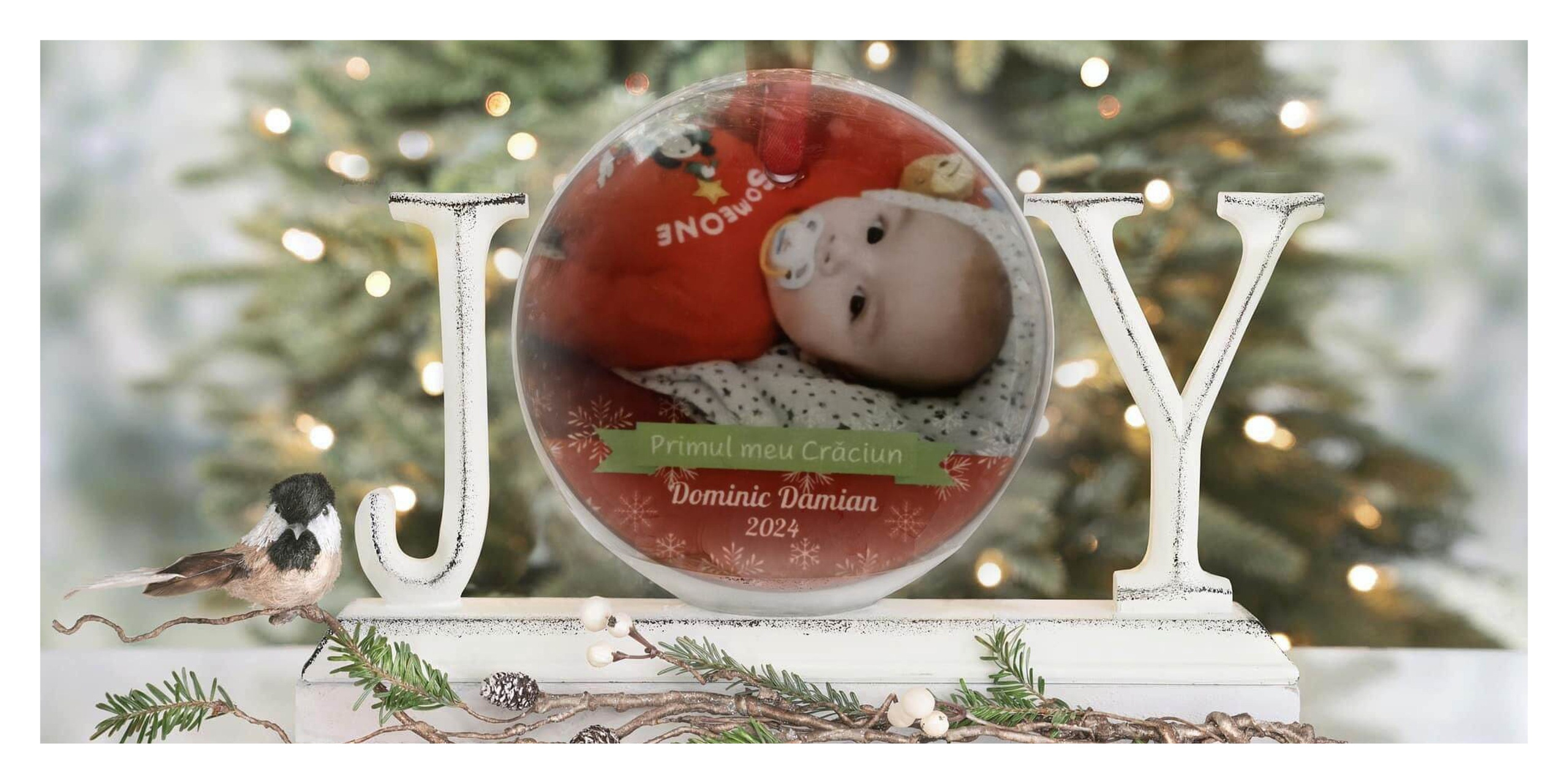 Album Craciun Madalina&Dominic