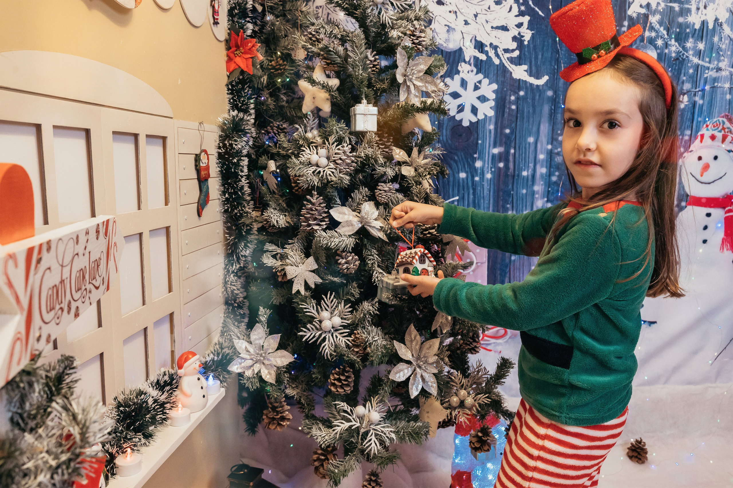 Sedinta Craciun Sofia