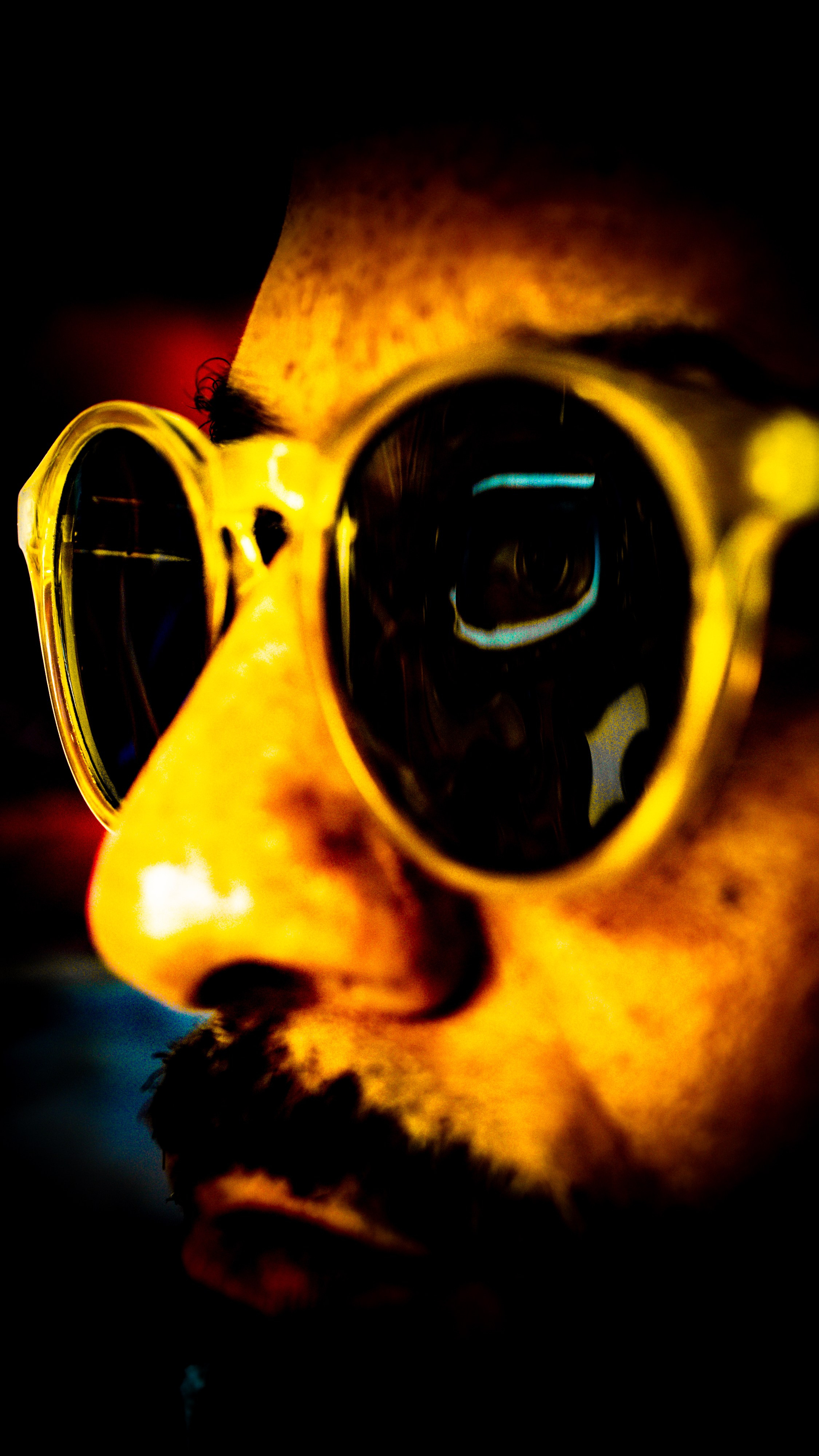 Marvin Rouse. Out and About 239