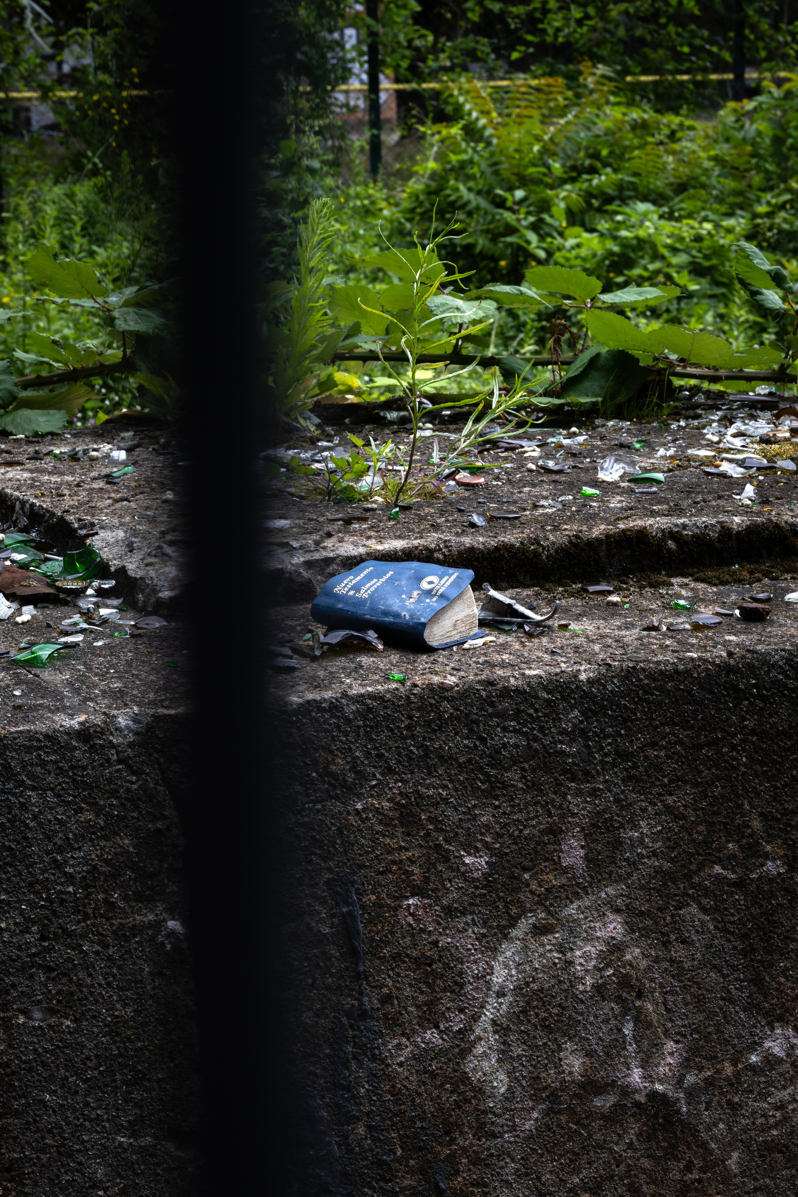 Berliner Mischung (in Farbe). BNW Around Photography