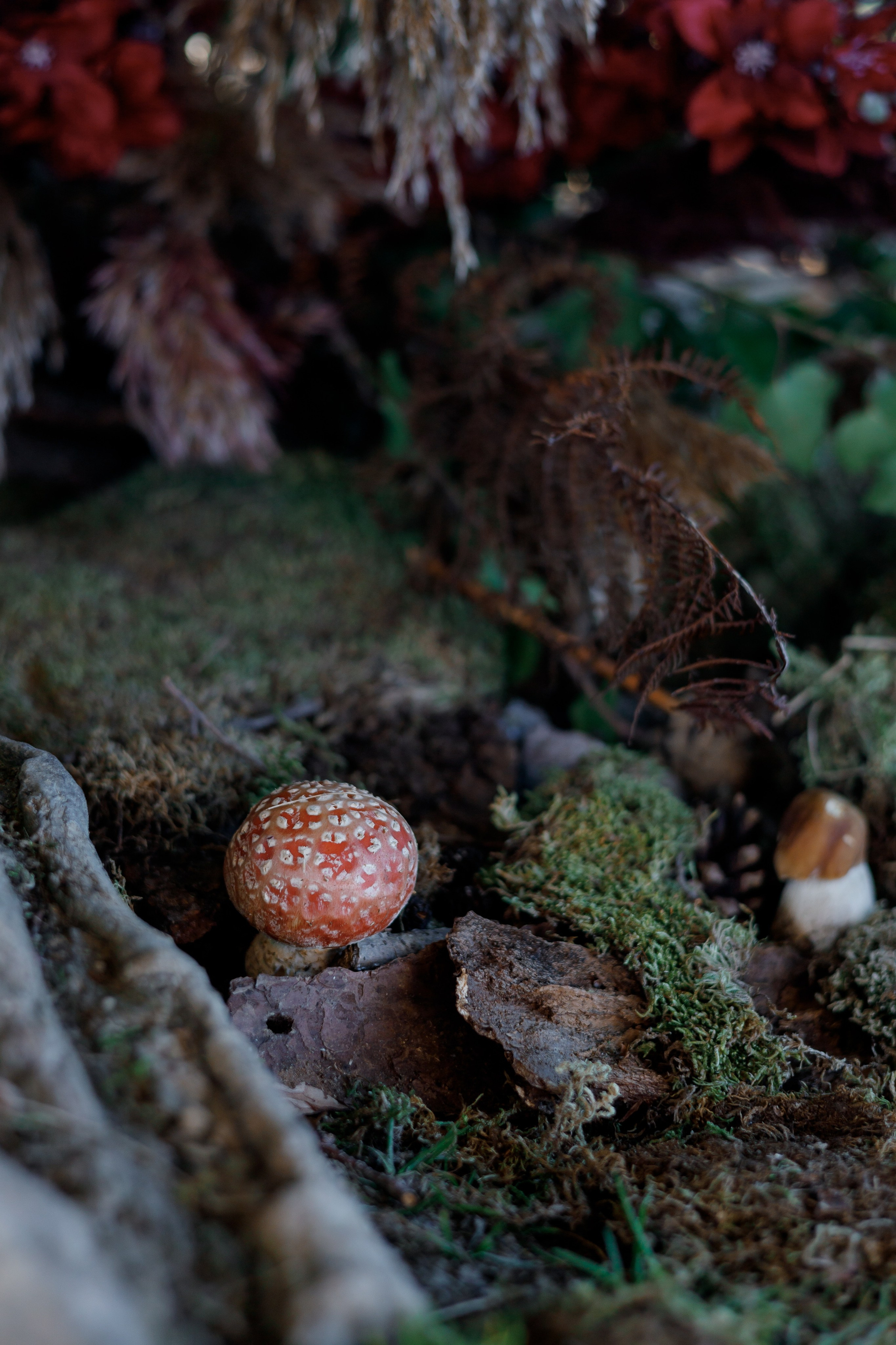 Марія & Дмитро. Весільний та сімейний фотограф Одеса