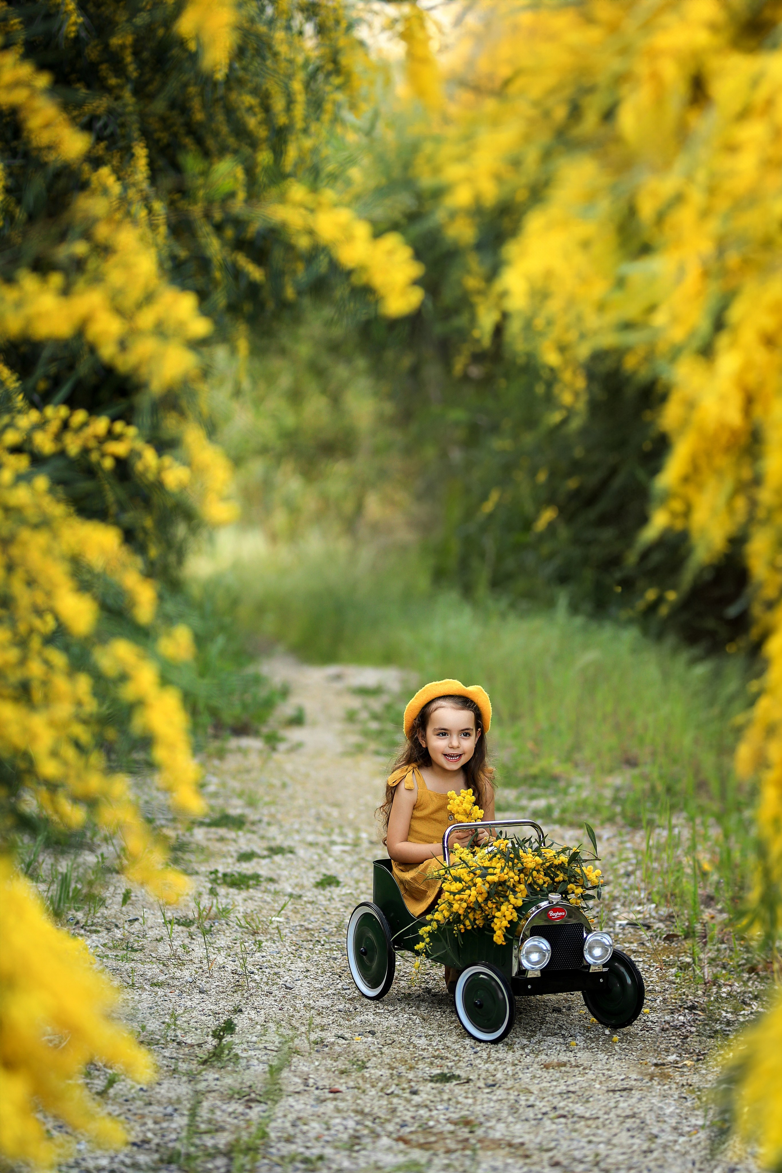 Photoshooting in mimosa. Photographer in Turkey, Antalya, Kemer, Belek, Side, Kas, Fethiye