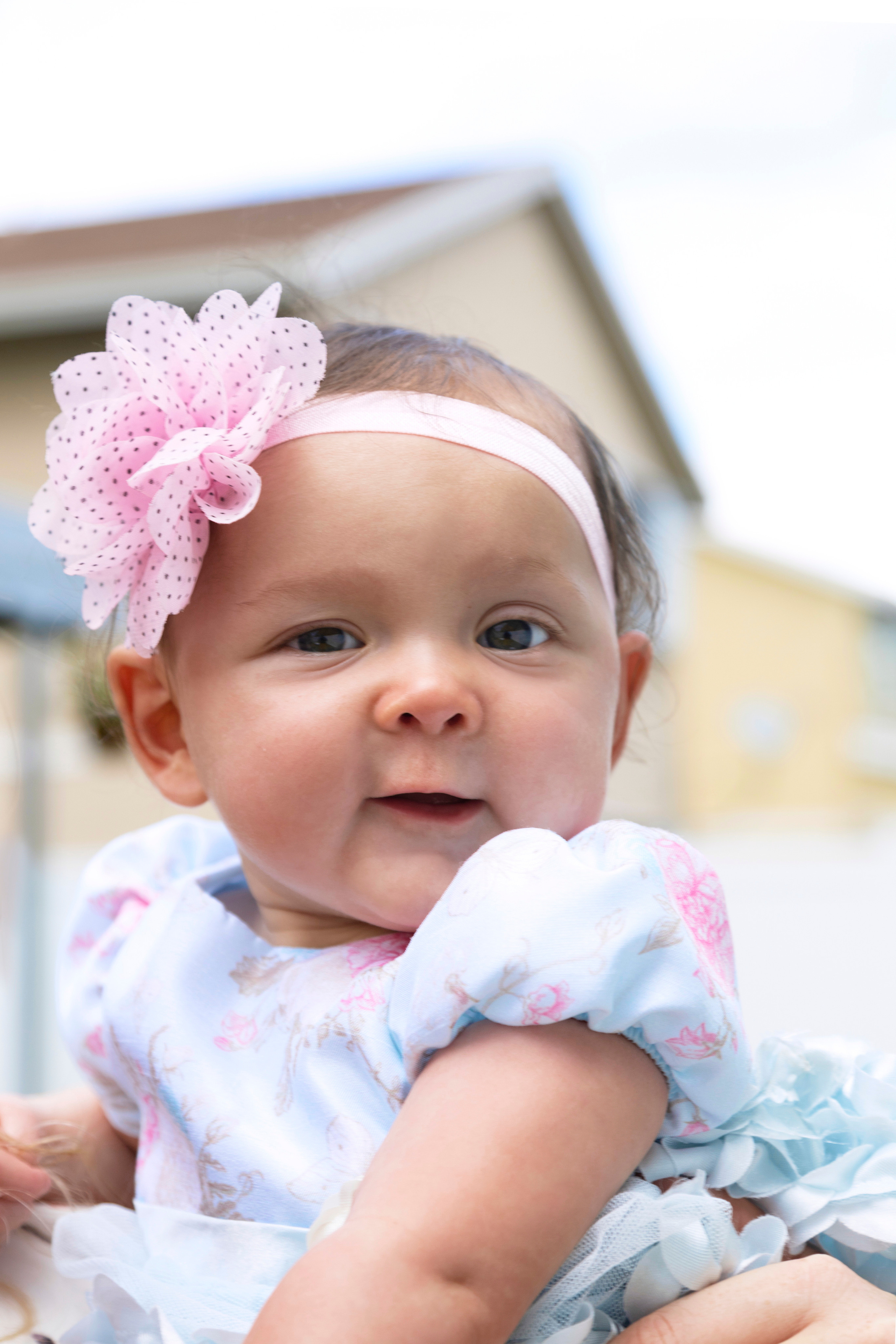 Lana, Andrey, Karisha. Main