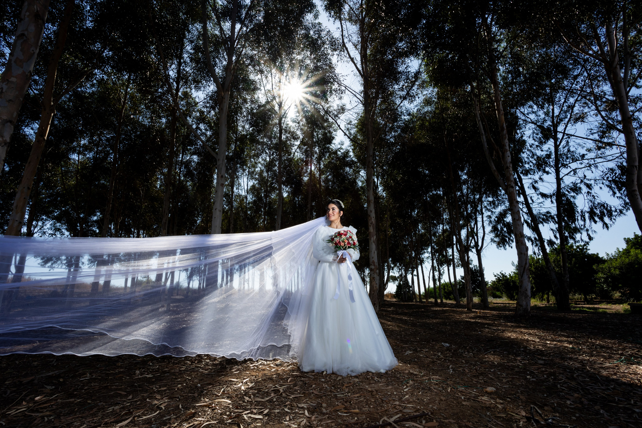 M&N. משה מנשה צלם חתונות