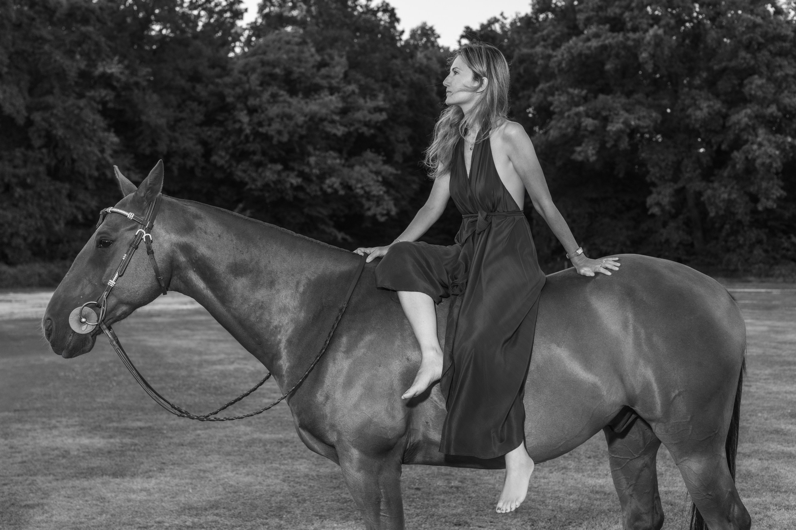 Photo shoot with horses