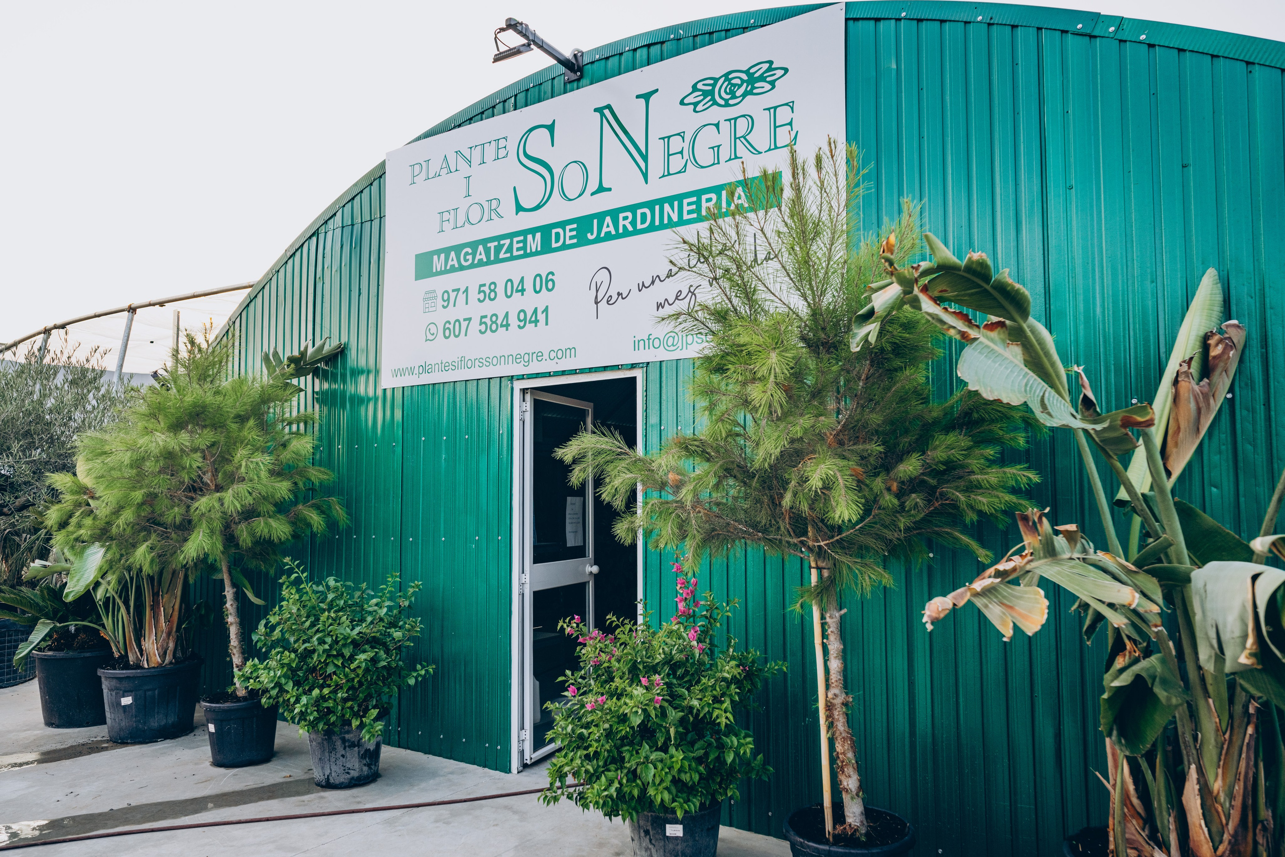 Centro Jardin. Photographer in Mallorca