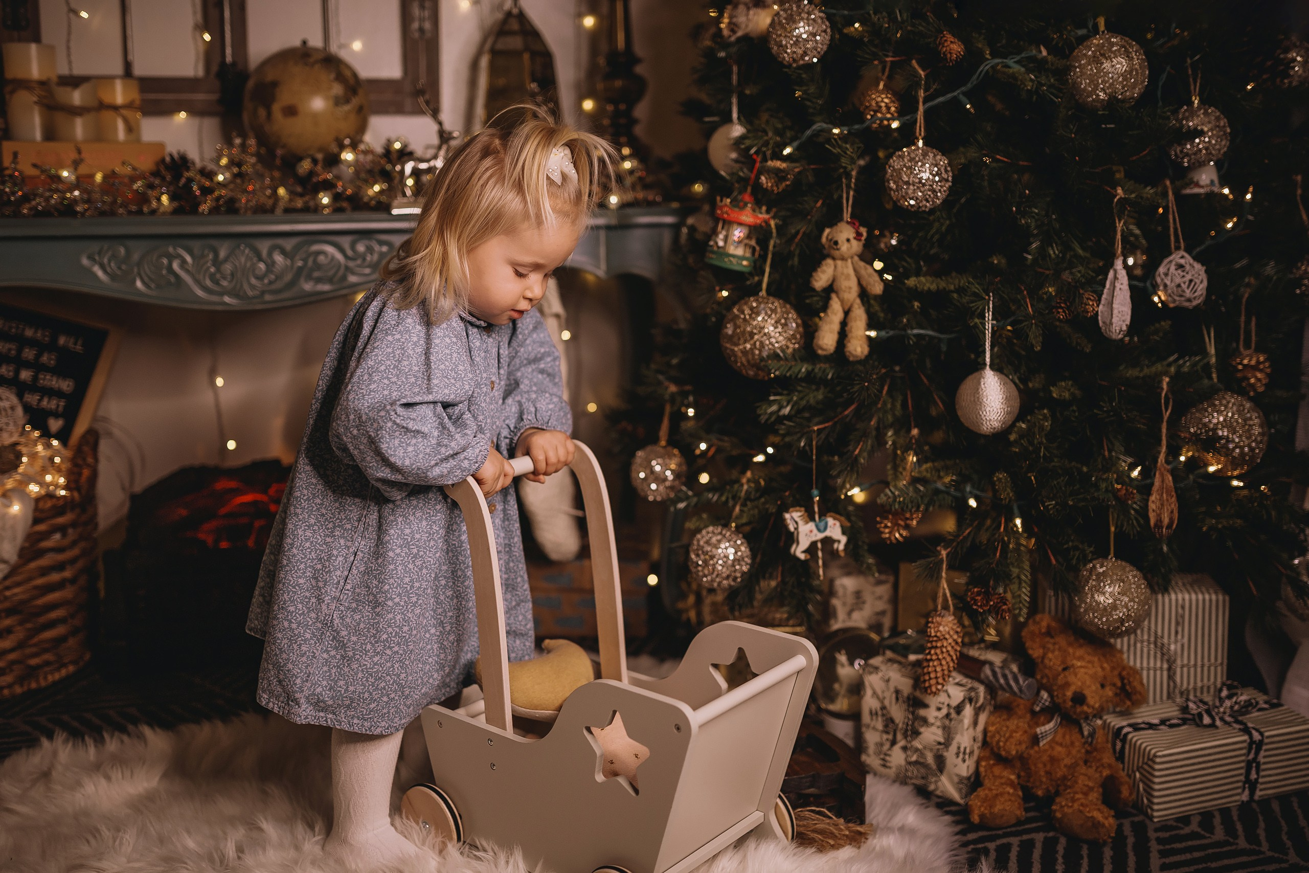 12.08.2025 Christmas Photoshoot. Wedding family event photographer in Chicago Nick Yushevich