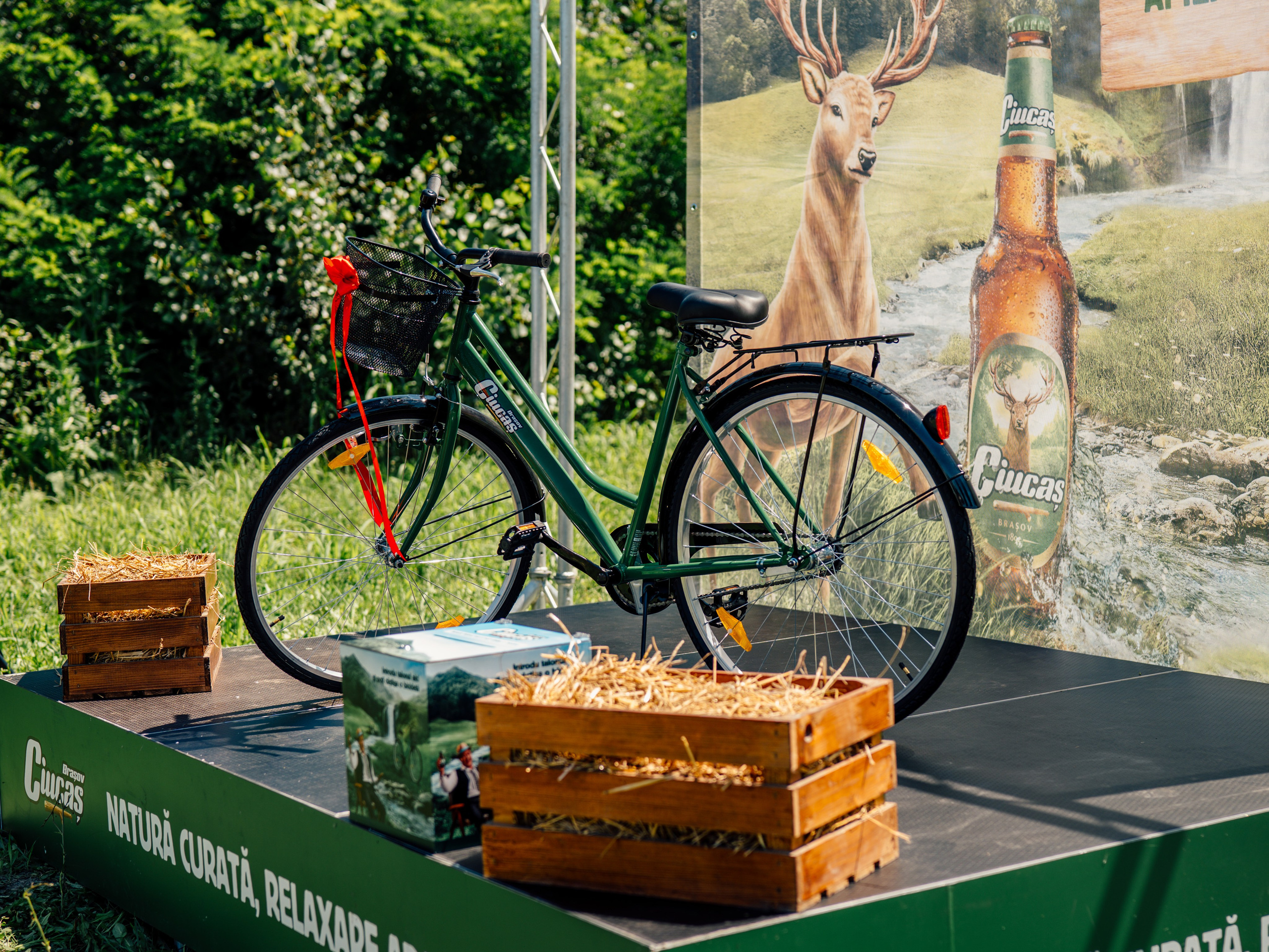 POIANA CIUCAȘ. Freesh Media Products