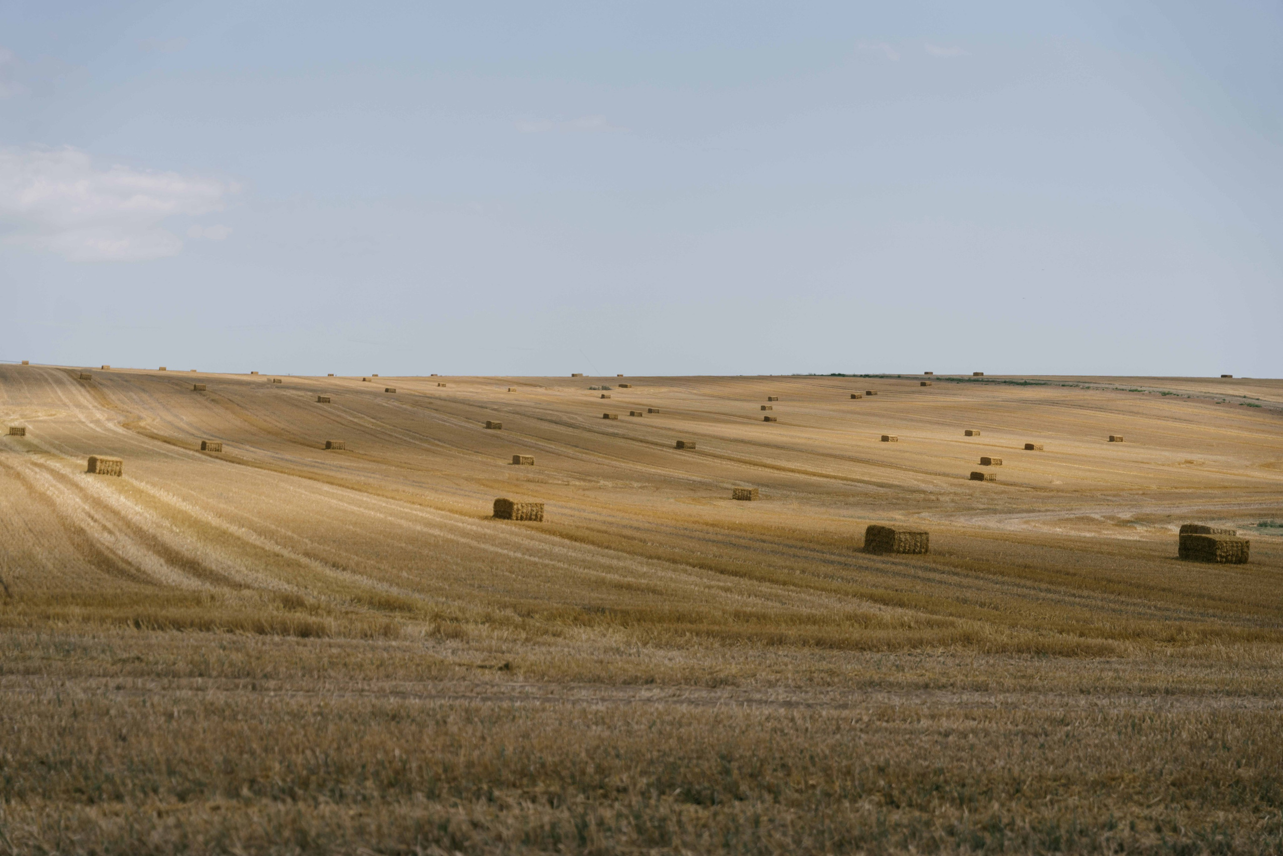 Layer Marney Tower Wedding, Essex | Essex & London Wedding Photographer. Natasha Ferreira Photography