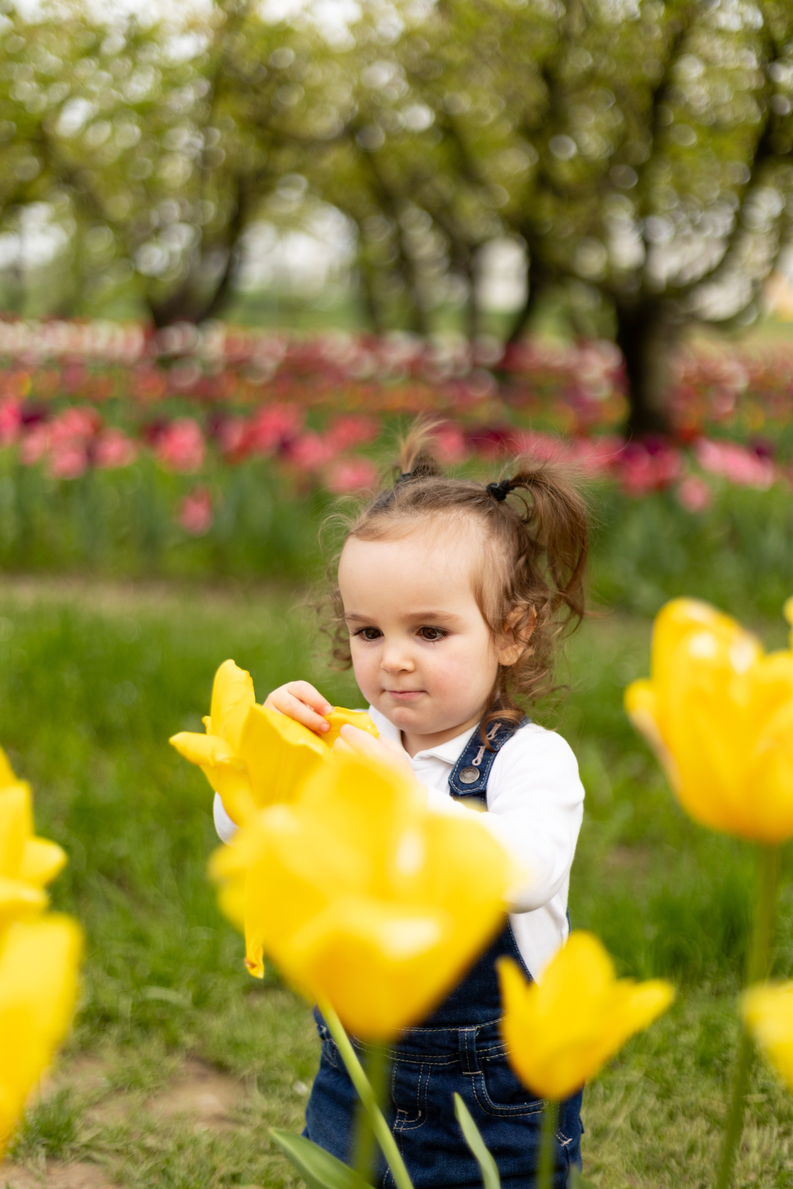 Noemi, Alessia e Sofia. Luci e Capricci Photography