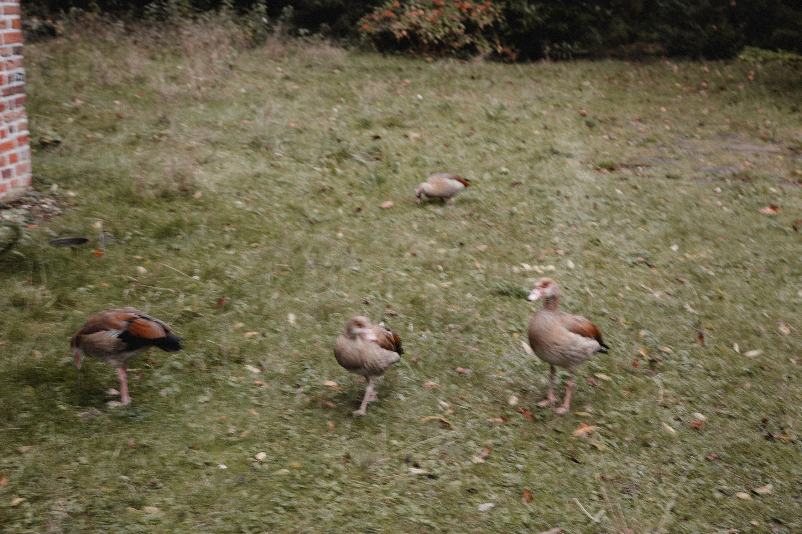 Lena & Philip | Schloss Bladenhorst, Castrop-Rauxel. Hochzeitsfotografie |Hochzeitsfotograf Bochum | Hochzeitsfotograf Dortmund | Hochzeitsfotograf Essen | Hochzeitsfotograf Ruhrgebiet