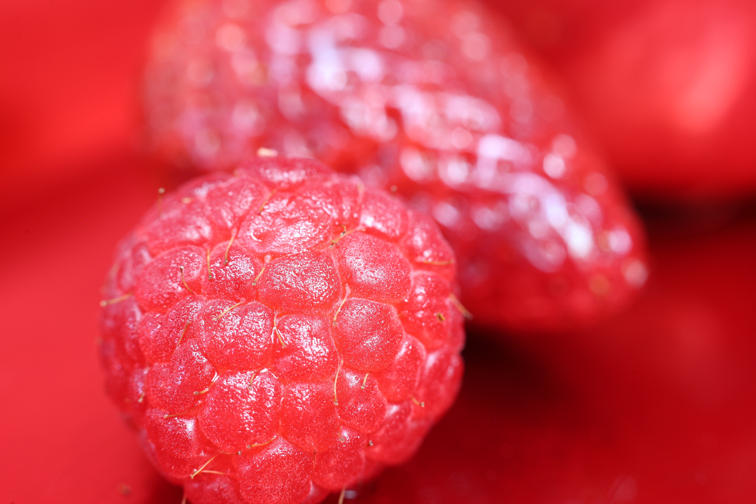 Fotograf. Lucrez cu oameni, produse și spații. Portret și fotografie creativă. Bacău, România. Lidia Savinoiu