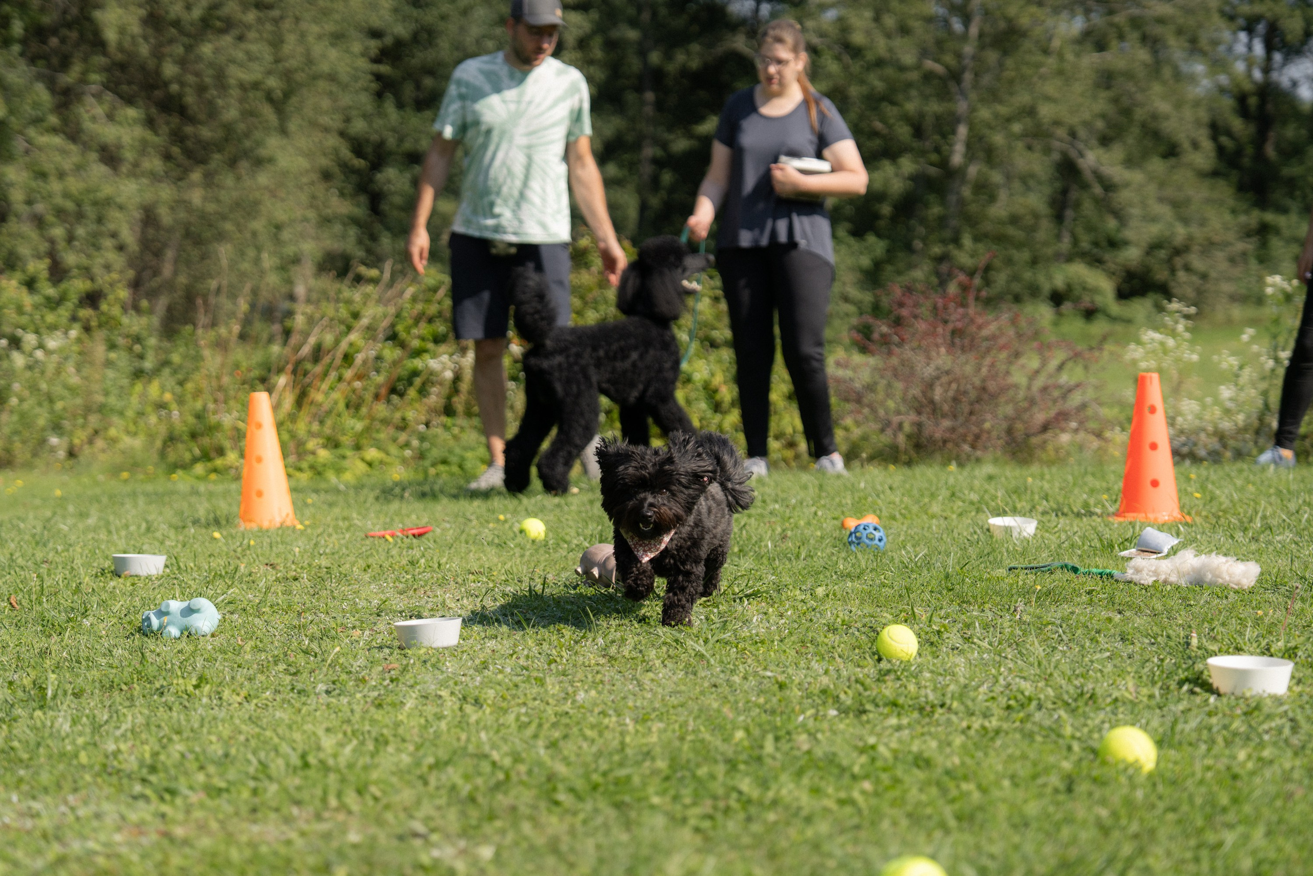 Heppi Dogo fest 2025. Vita Klimaševska ○ Fluffy Soulmate Photography