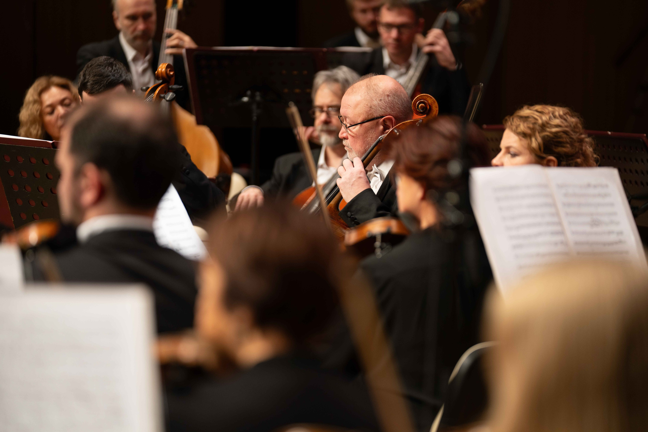 The Tchaikovsky Academic Grand Symphony Orchestra in Baku. Wedding&Event photographer Ismail Rzayev in Baku