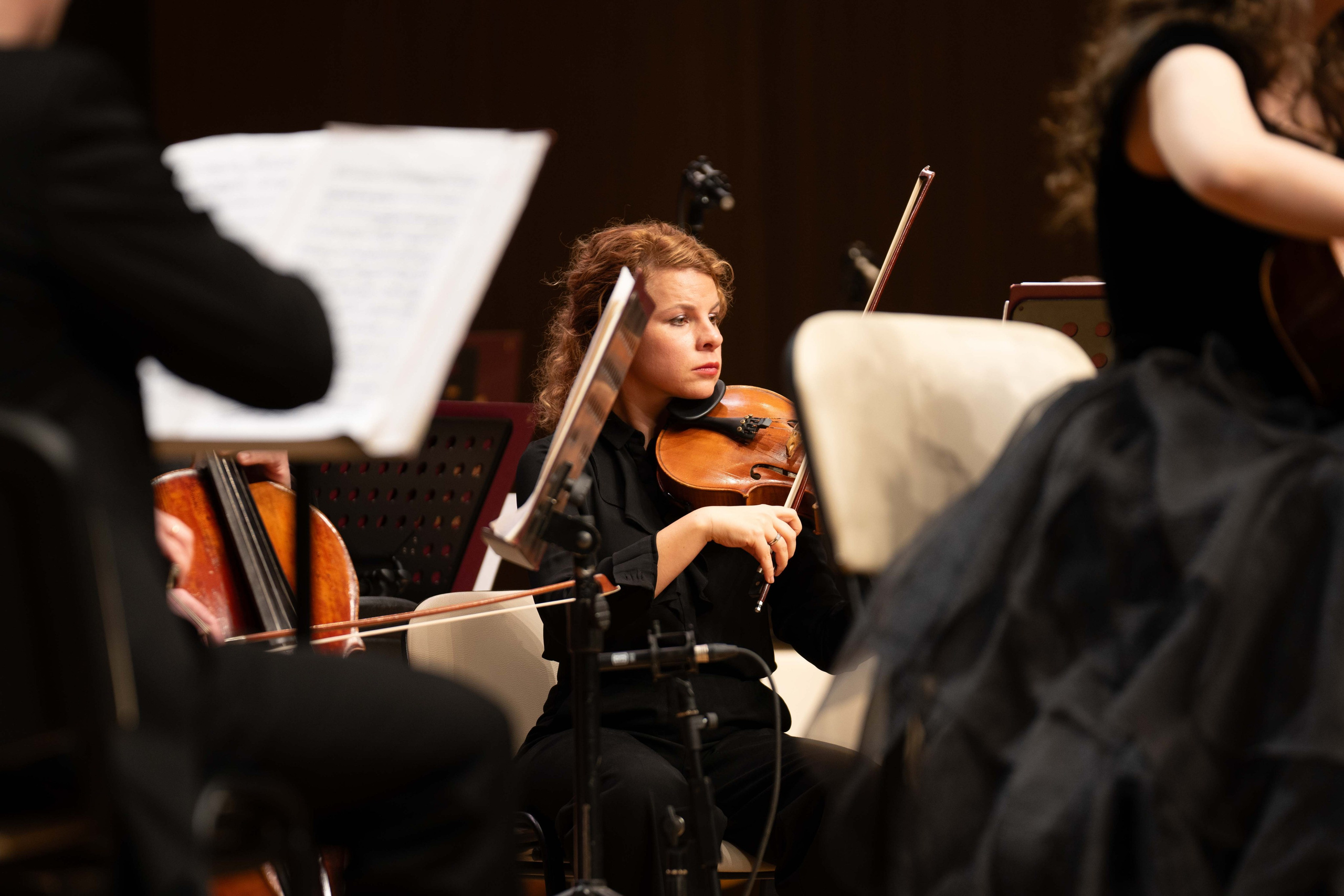 The Tchaikovsky Academic Grand Symphony Orchestra in Baku. Wedding&Event photographer Ismail Rzayev in Baku