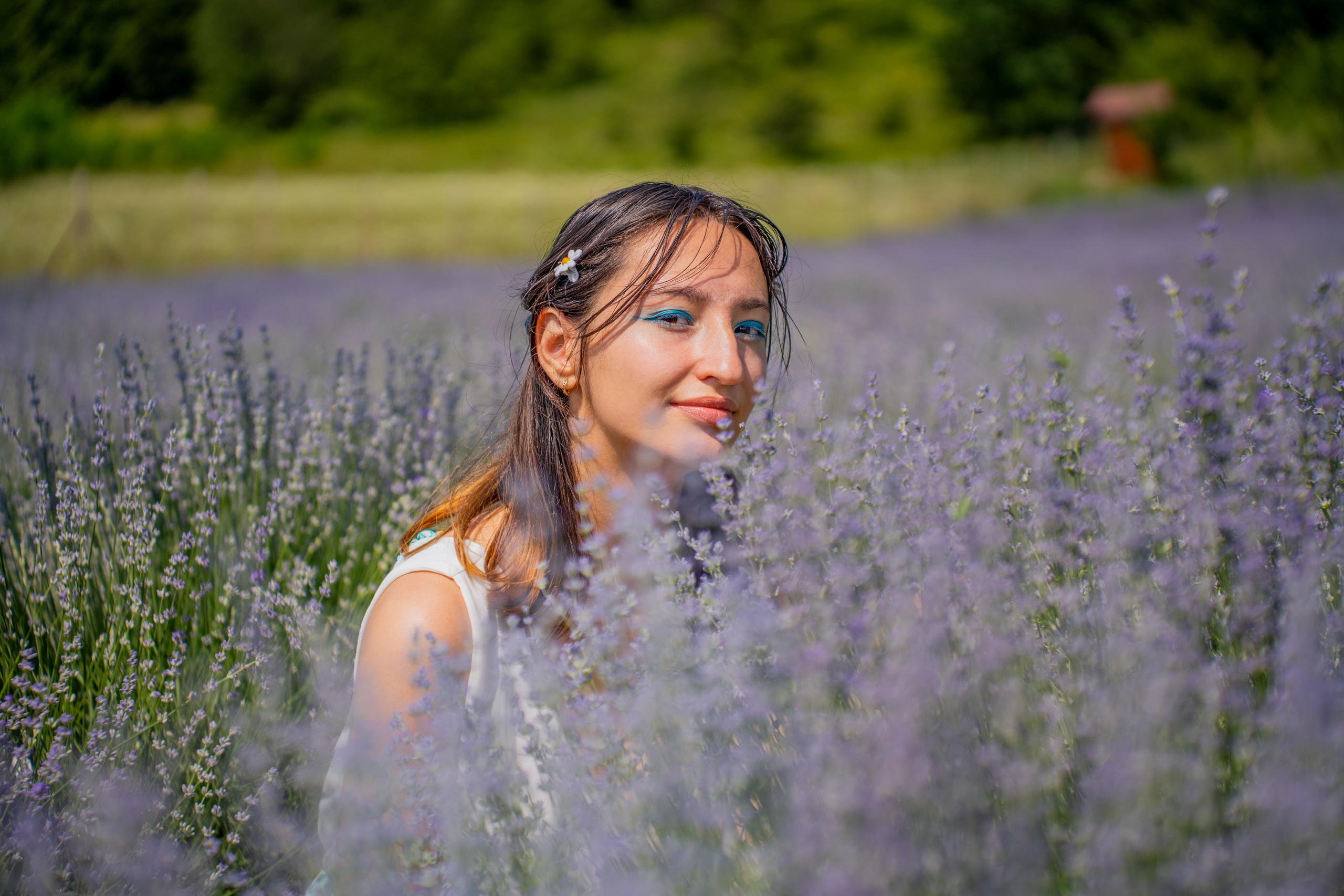 Ședință foto în Lavandă. Mihai Alexandra Events