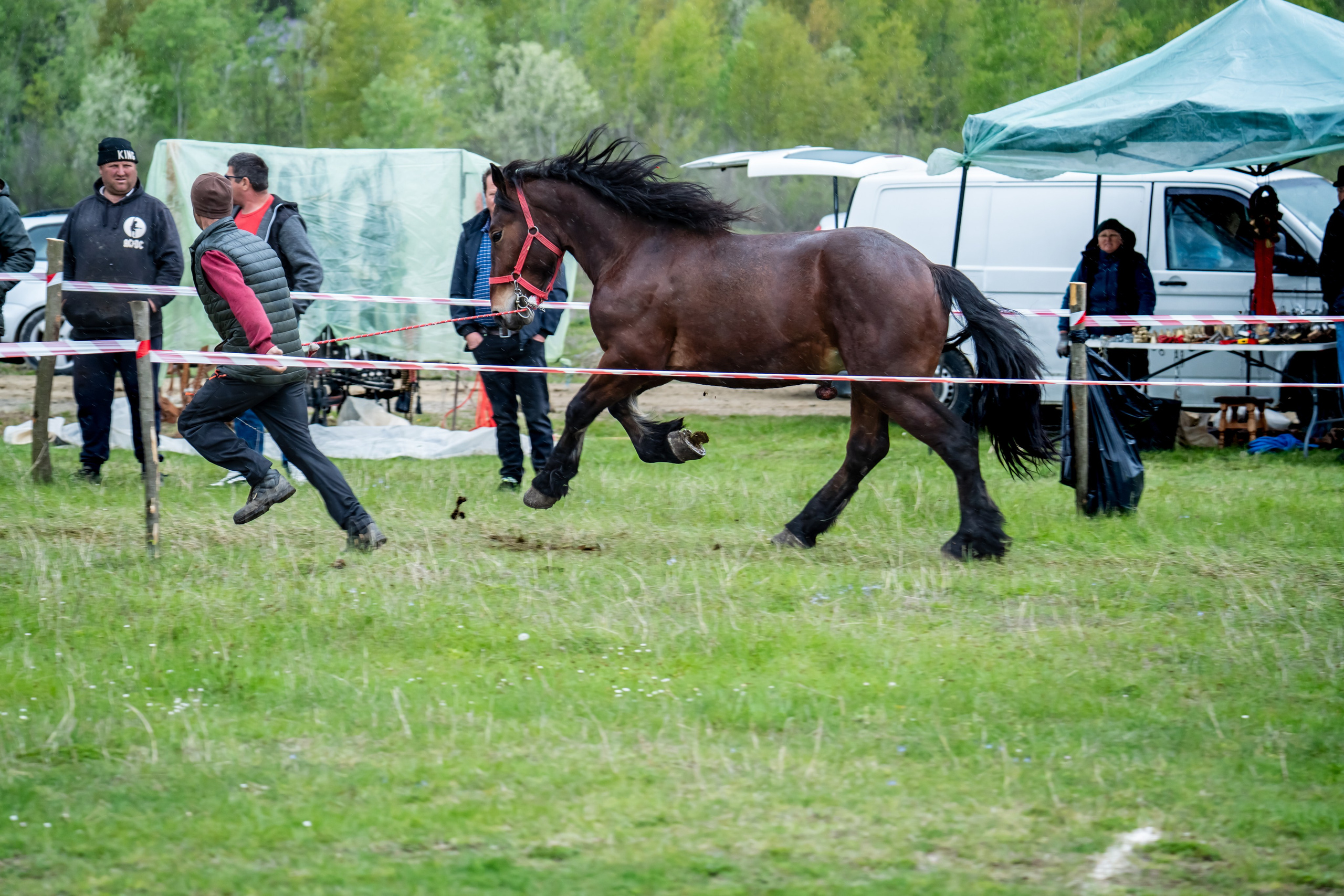 Concurs Ecvestru Vărbilău ediția a 4-a. Mihai Alexandra Events