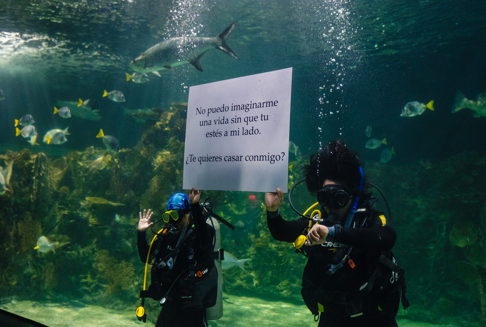 Ricardo & Bere. Wedding and family photographer in Mexico City