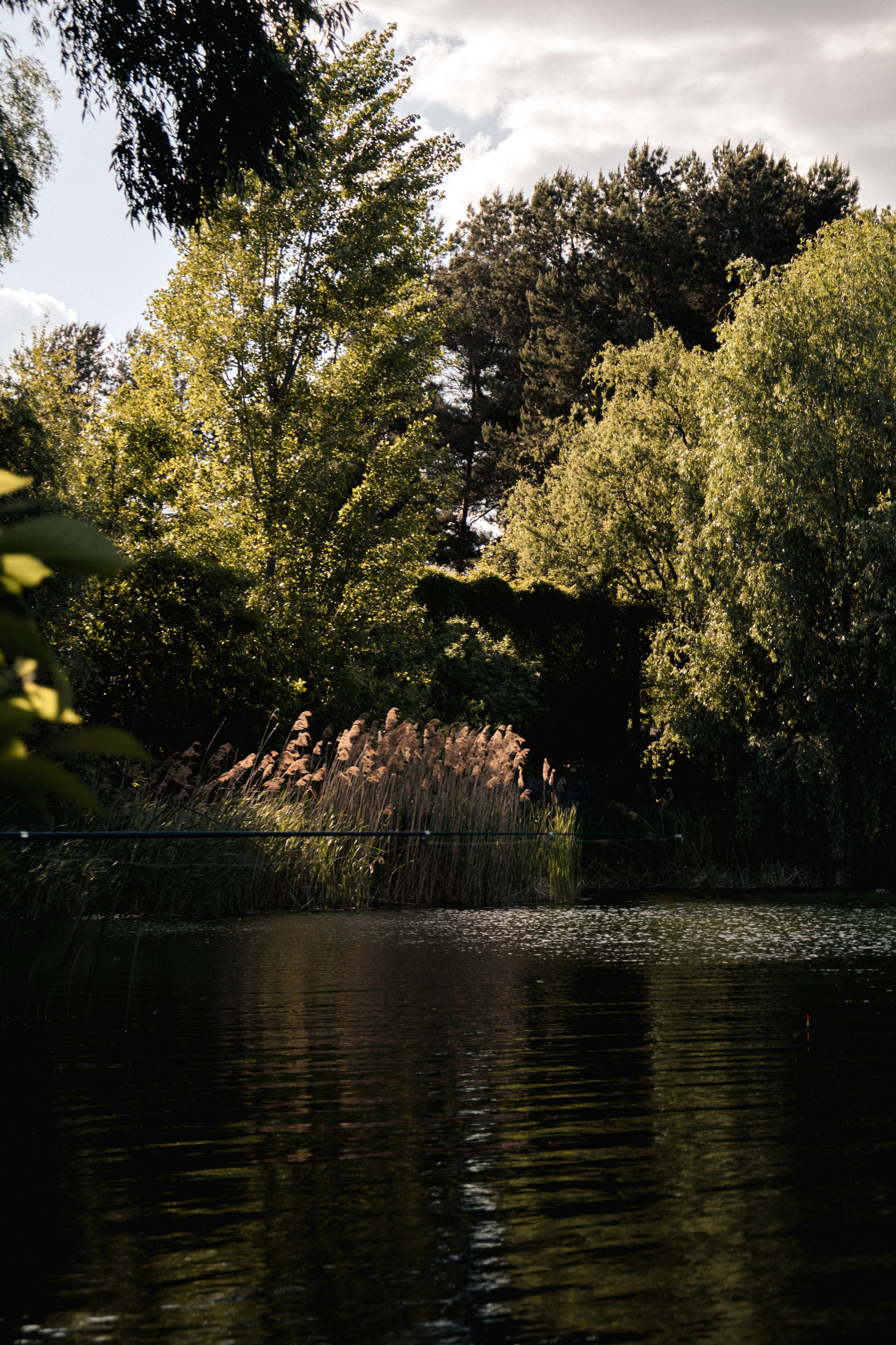 Kyiv. Дизайнер и Фотограф в Кишинёве Бусуйок Станислав