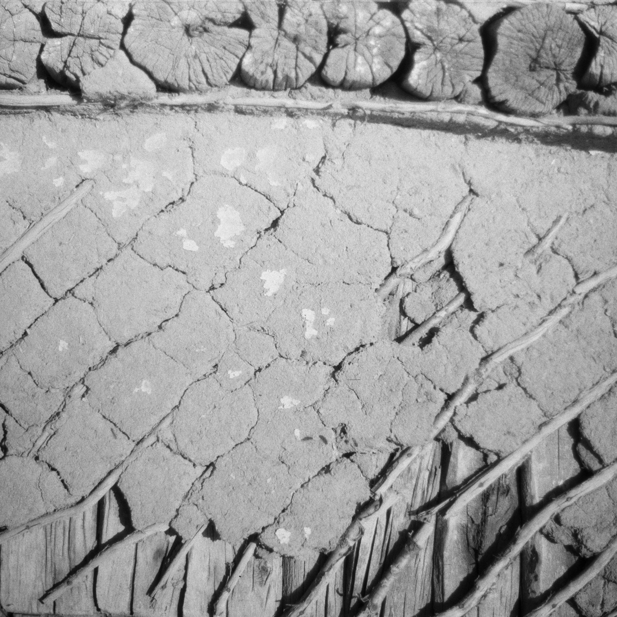 Grandmother. Ekaterina Fedorova